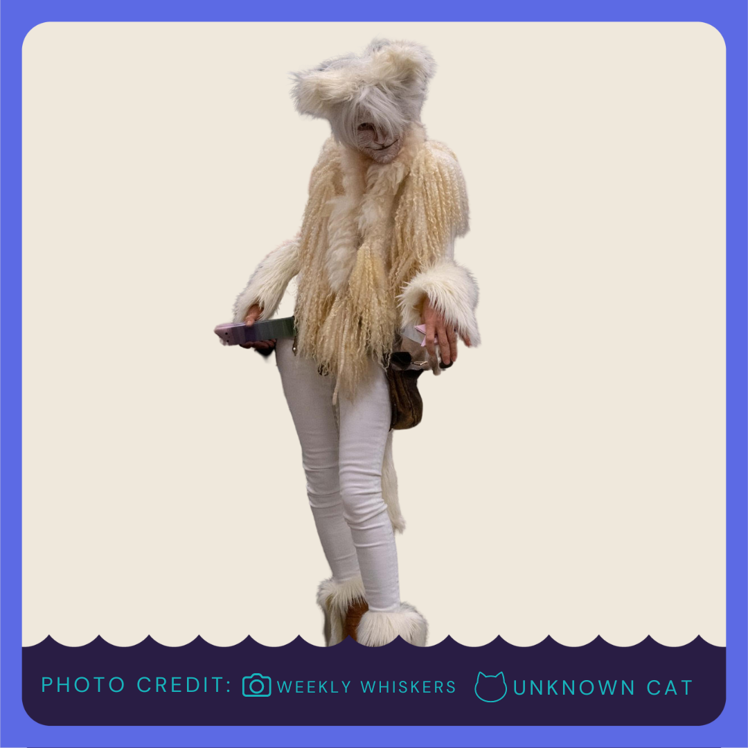 Cosplay contest post.png