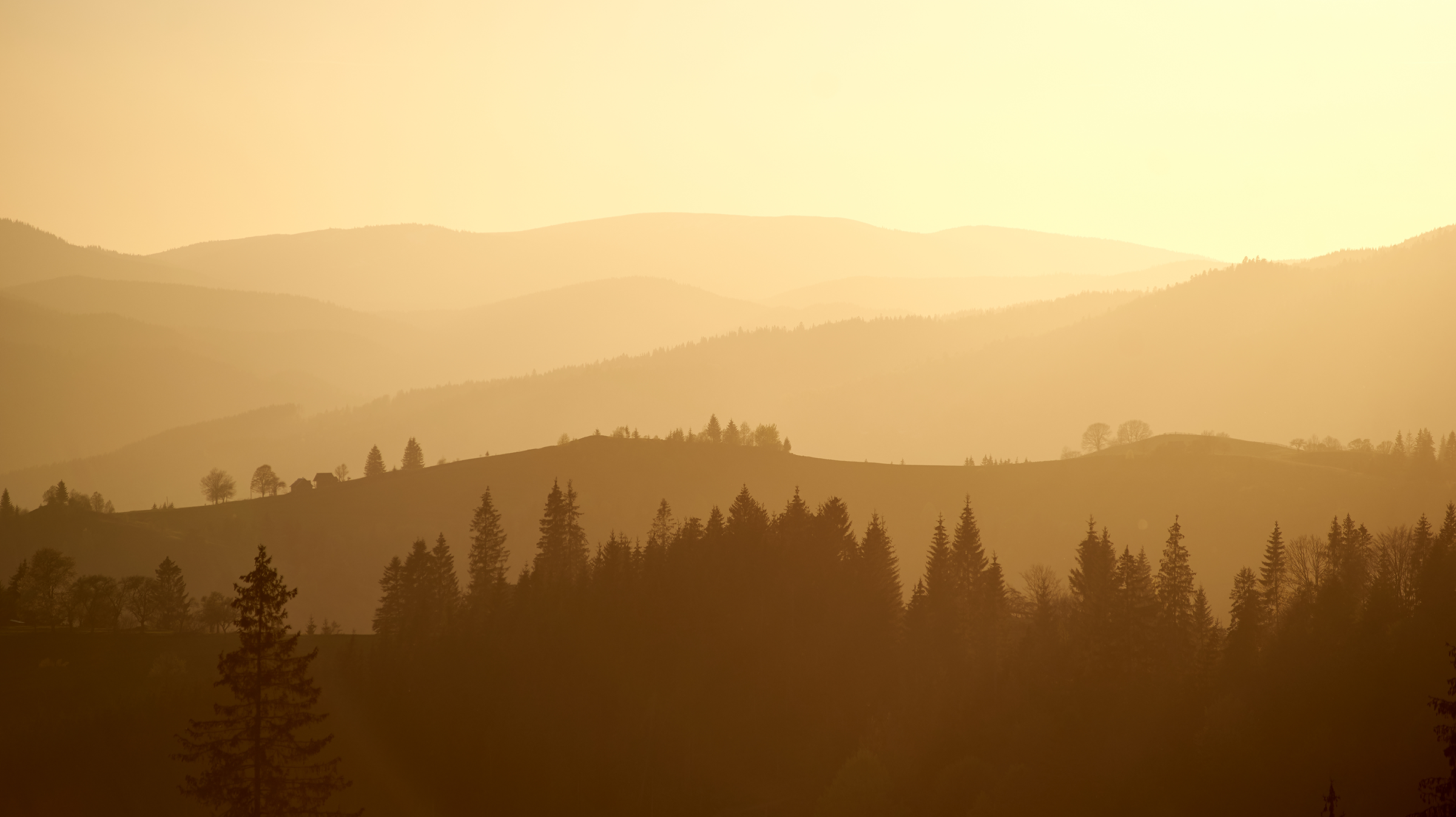 Sunset over a hilly forest landscape with layers of distant hills and a silhouette of trees in the foreground.