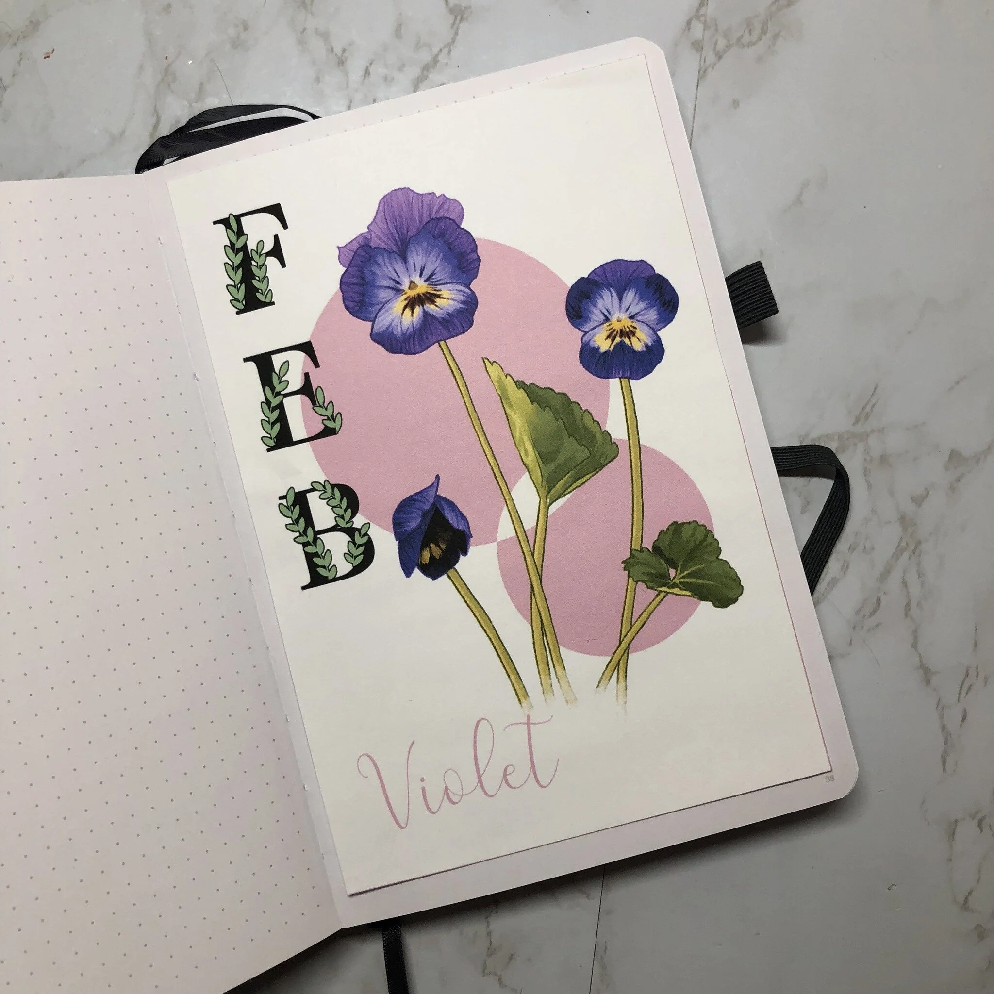 Check out these new #printables #bujoprintables on my Etsy shop! They are for the Floral BUJO design set that I will continue to update as the year goes on. Each month will have the birth flower on the cover page and will be done in a similar style. 