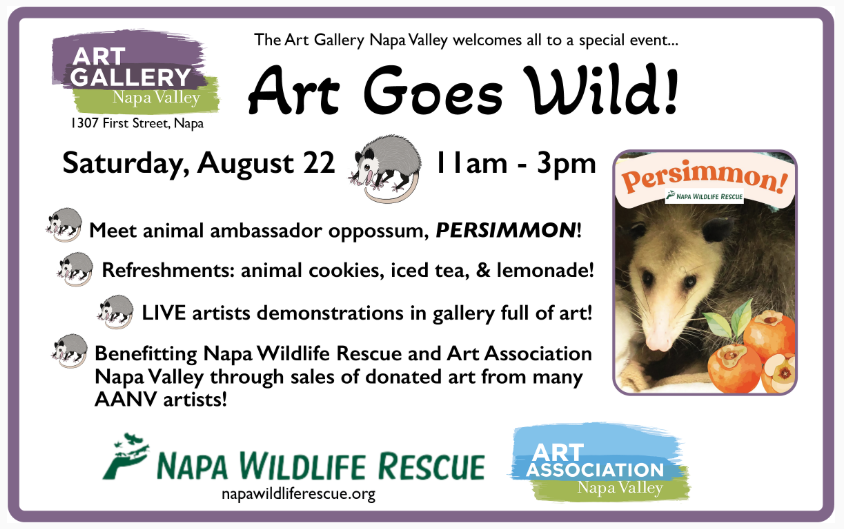 Art Goes Wild!