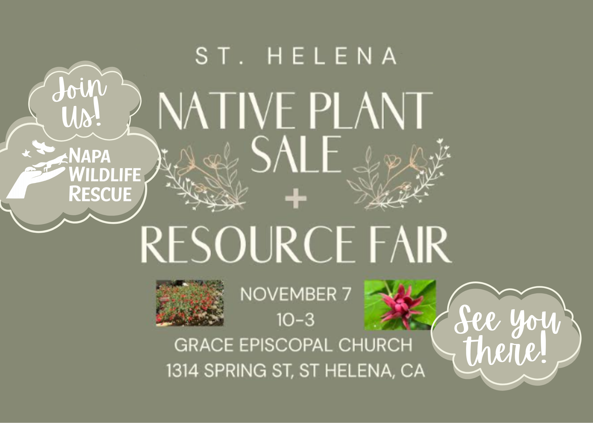 Native Plant Sale