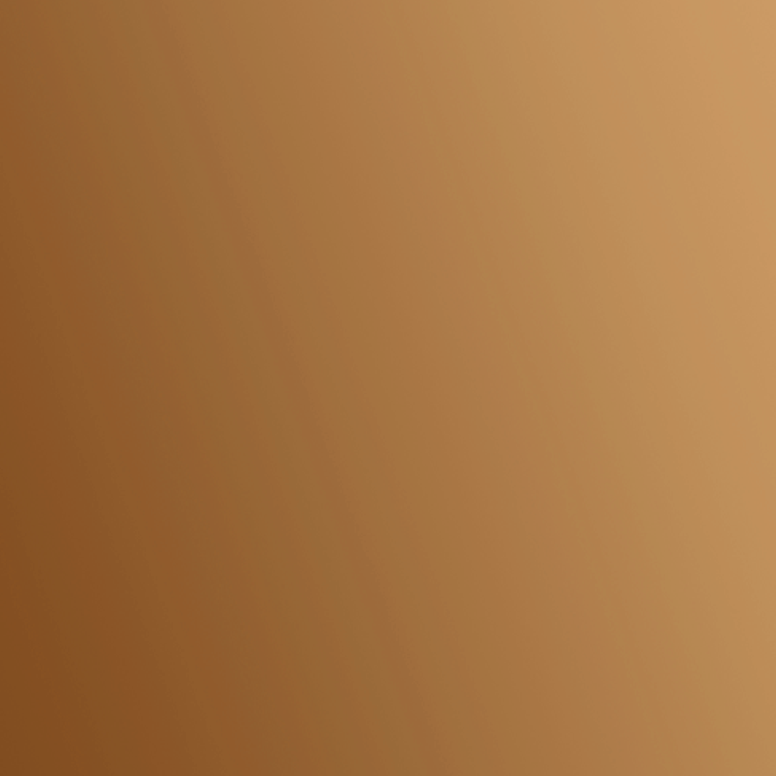 bronze gloss.png
