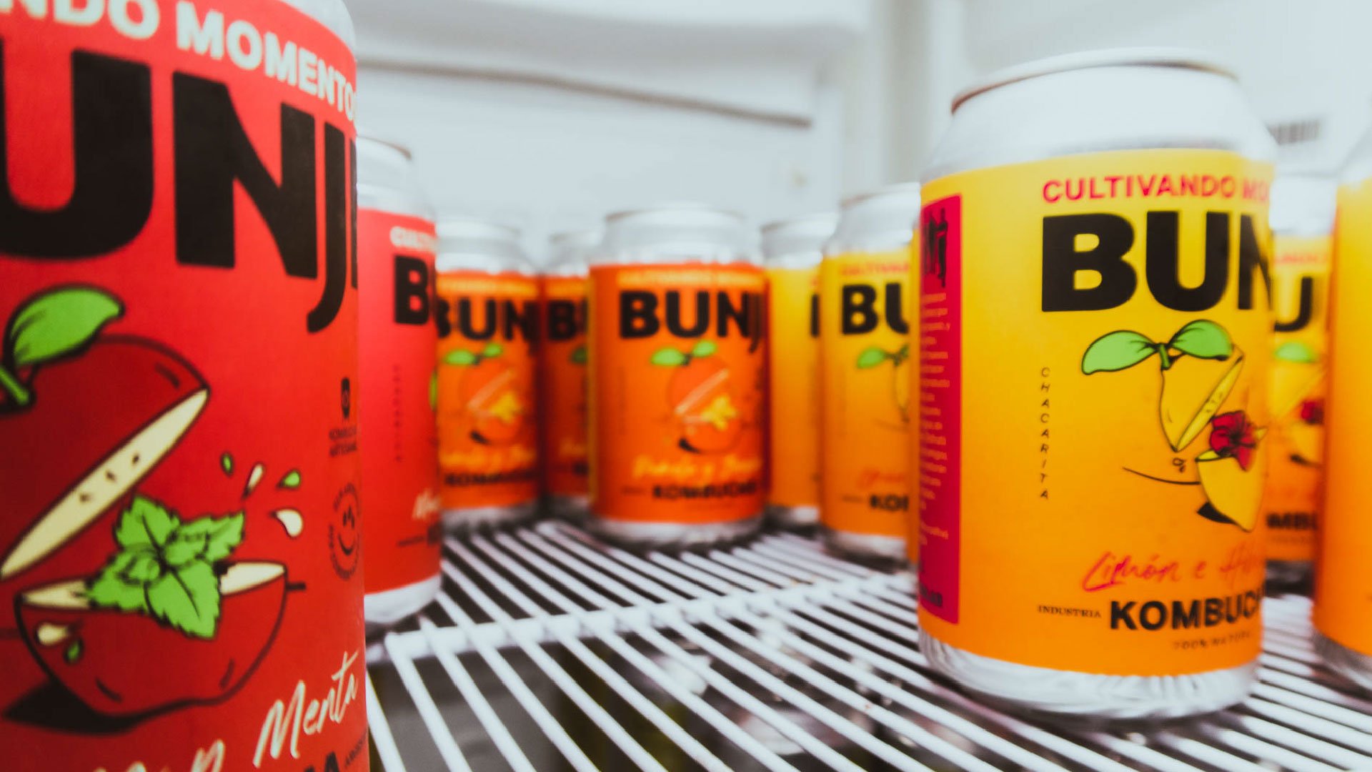 Bunji-Kombucha-Website-Images-05.jpg