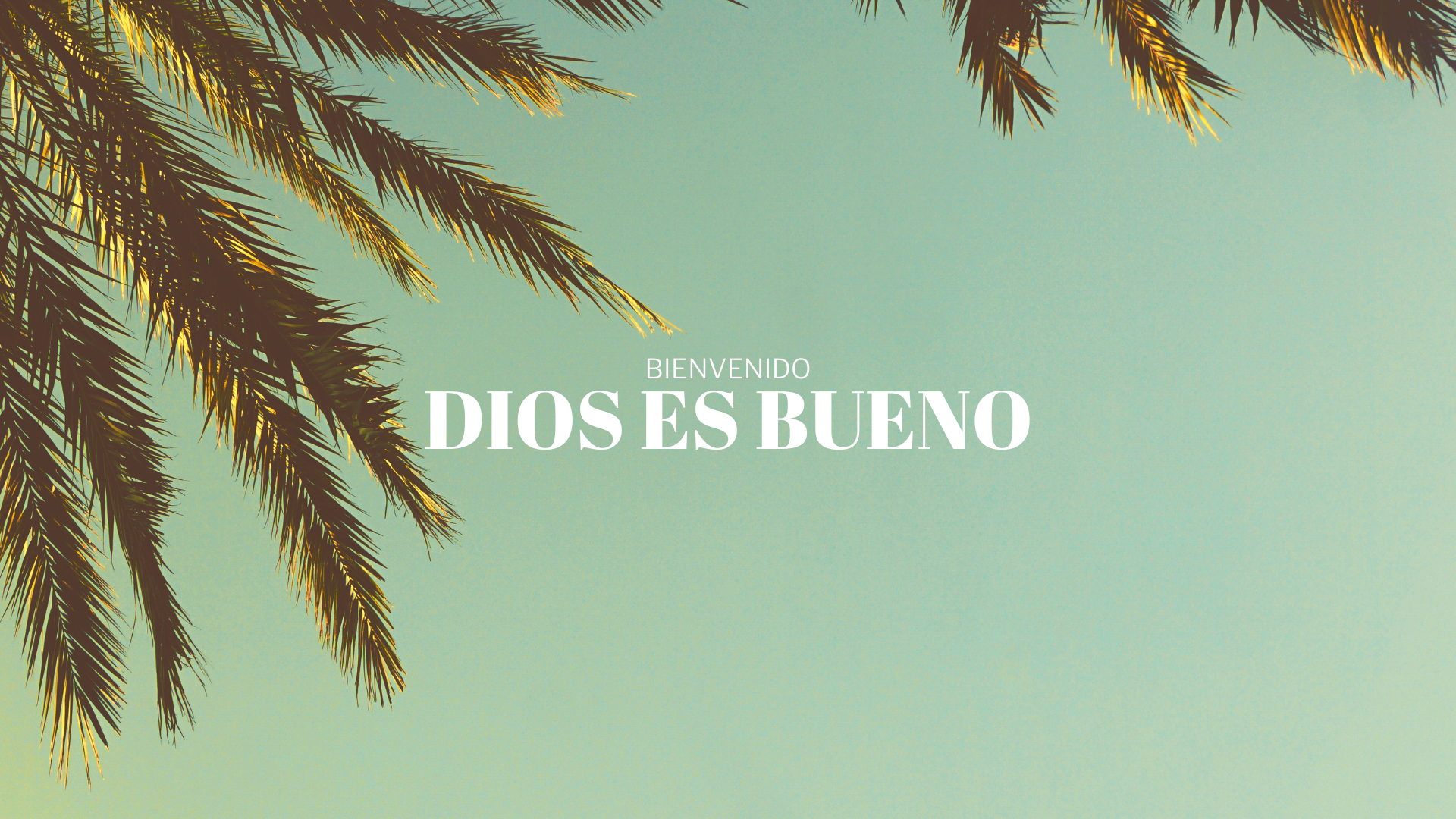 La Obra Del Espíritu Santo