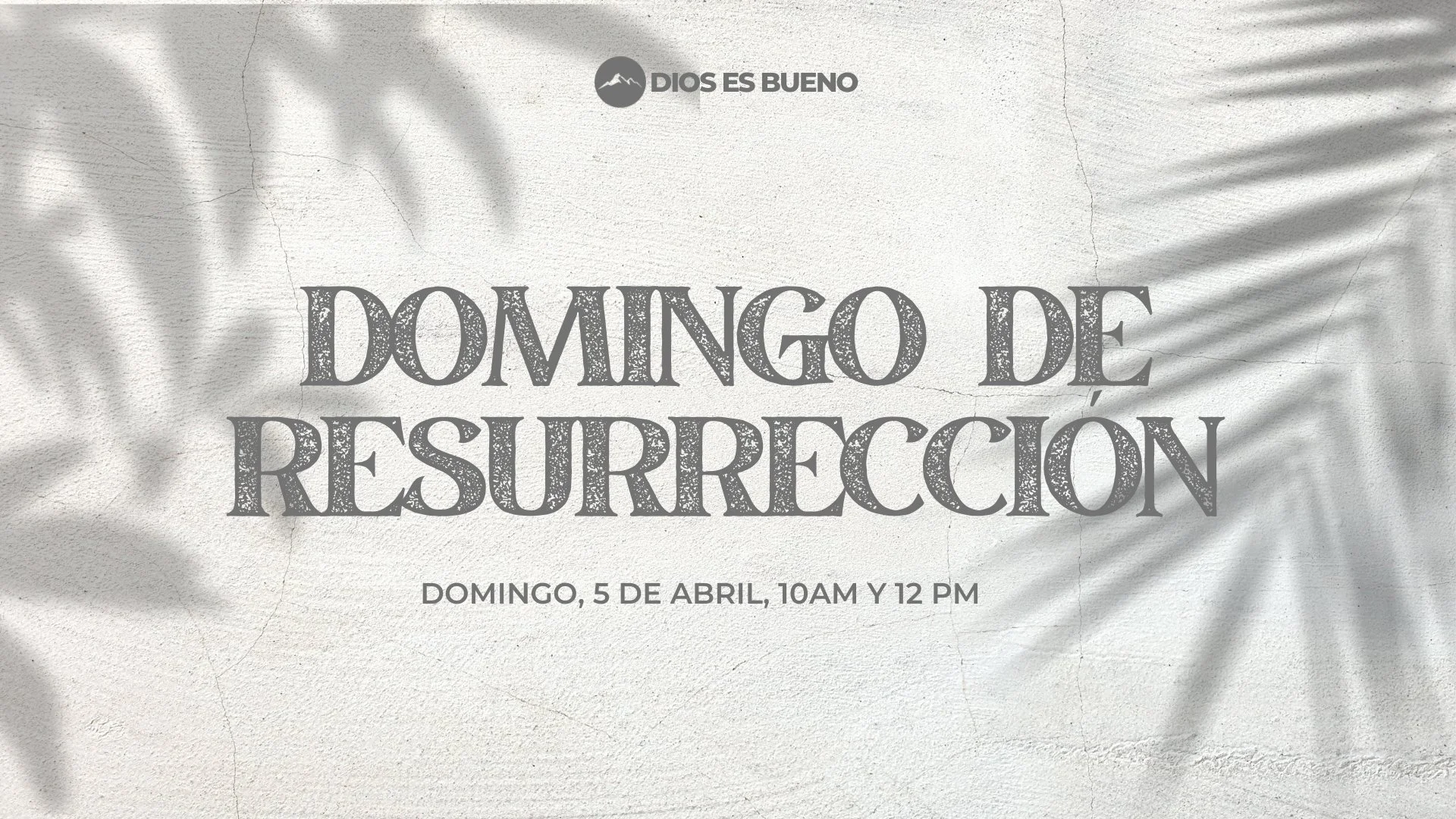 Servicio De Resurrección