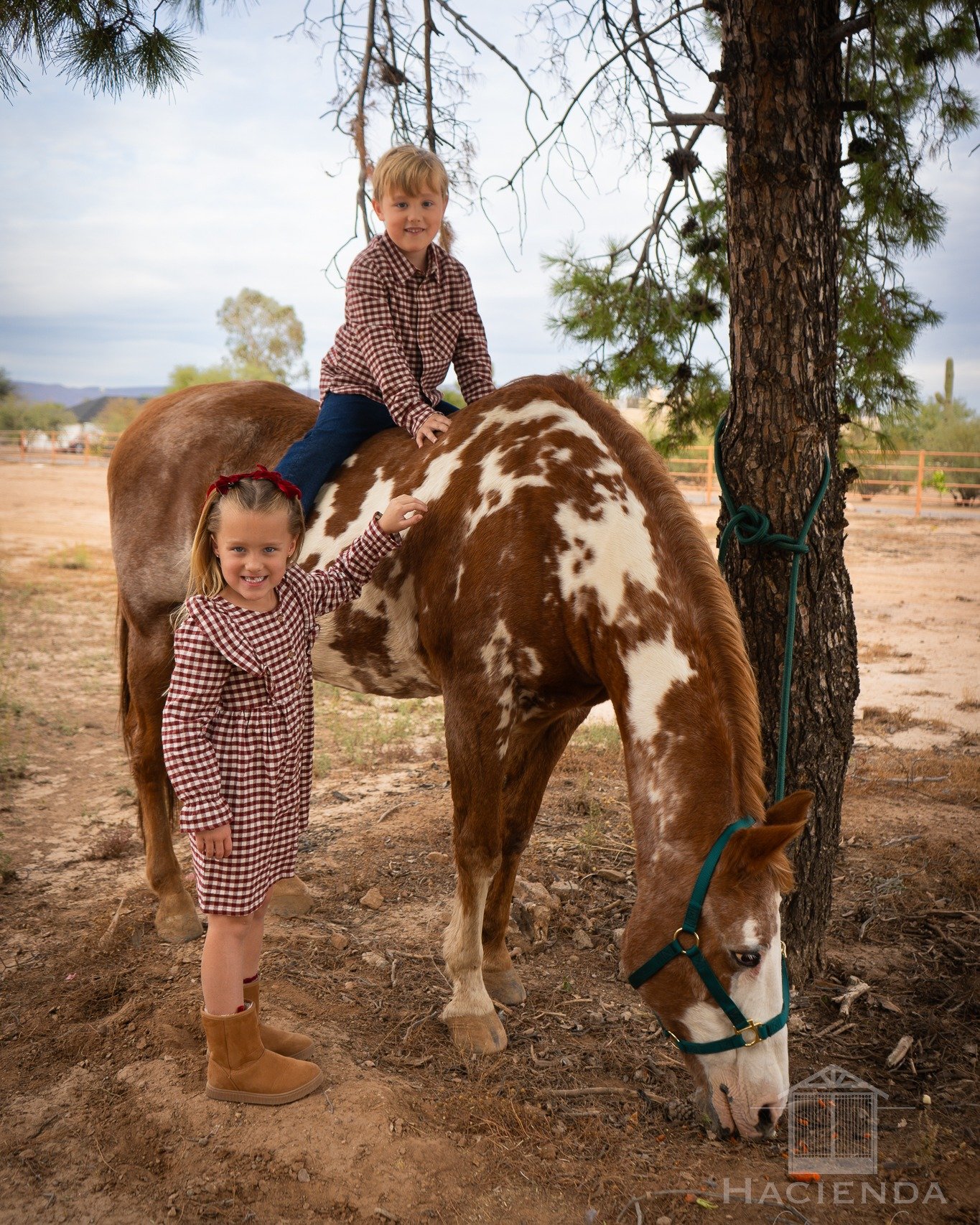 And the gifts just keep on giving! These sessions were so fun to shoot especially because they were such a cherished memory to share as a family. Nicky, our equine model, agreed that he 10/10 would recommend (although, that might have just been all t