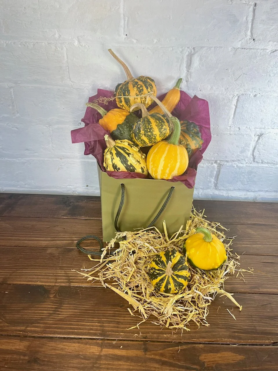 Chester-pumpkin-patch