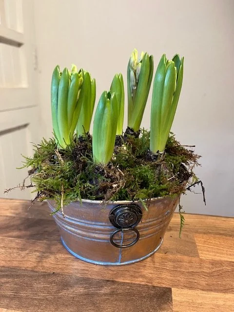 Hyacinth Bowl