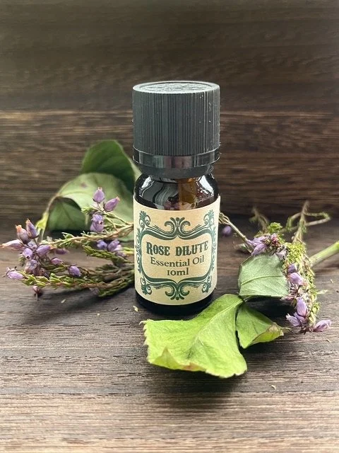 IMG_7967.jpeg (Copy)