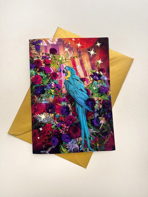 Marvellous Macaw Circus Card.