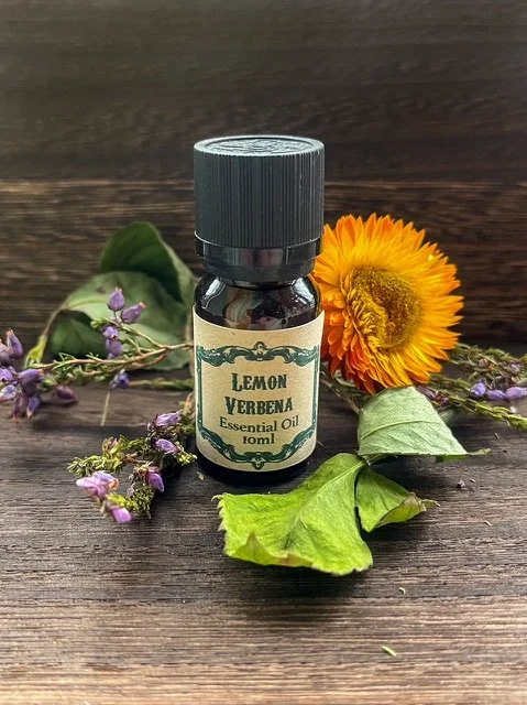 IMG_7966.jpeg (Copy)