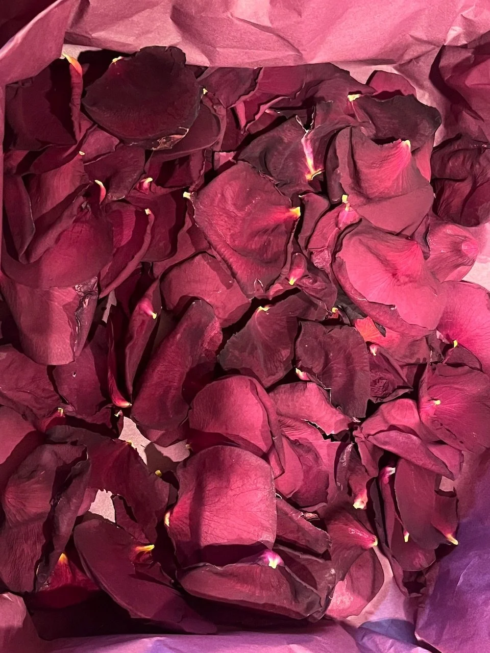 Red Rose Petals.