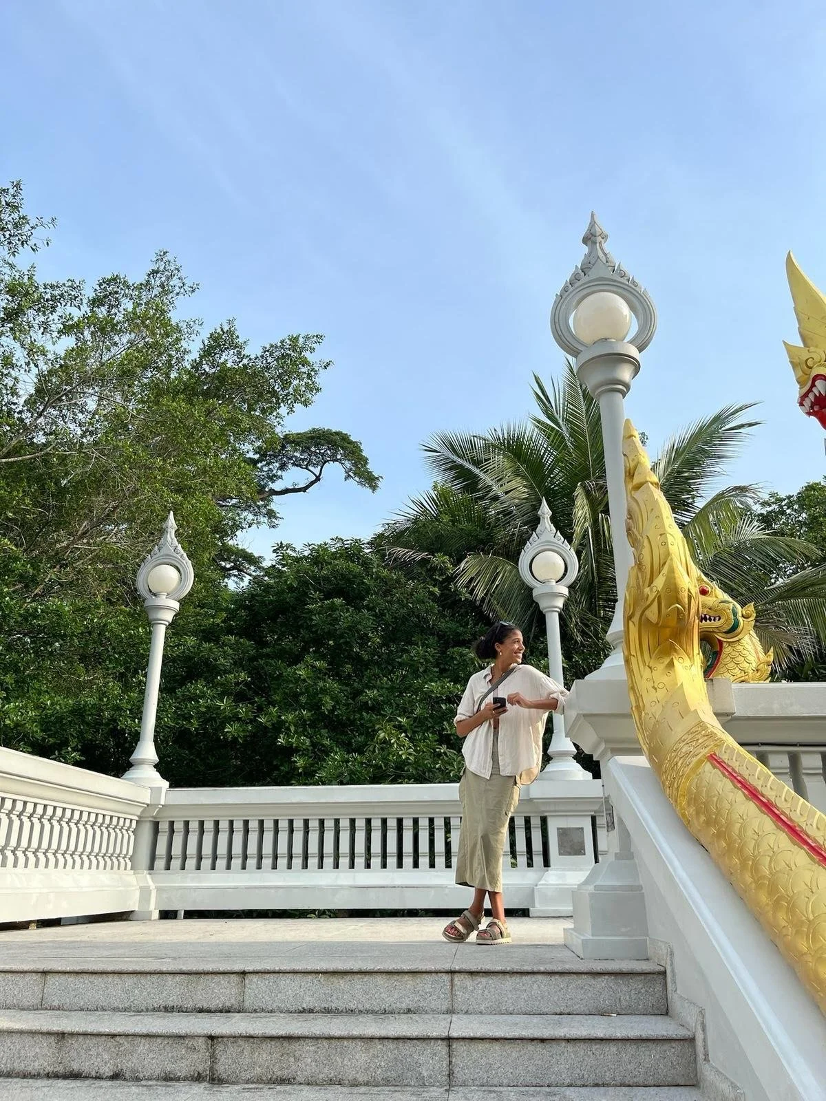 Elisabeth Aluko, illustratrice