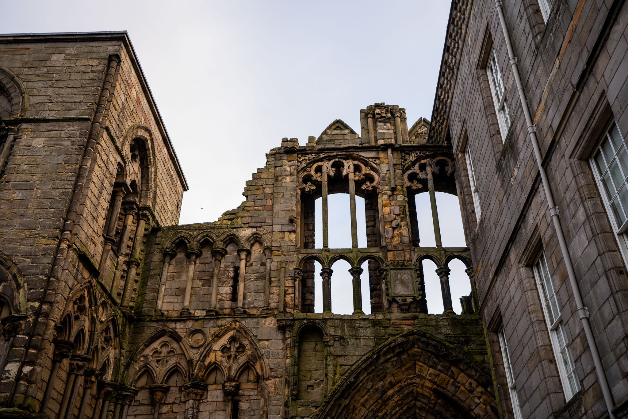DSC00982.jpg