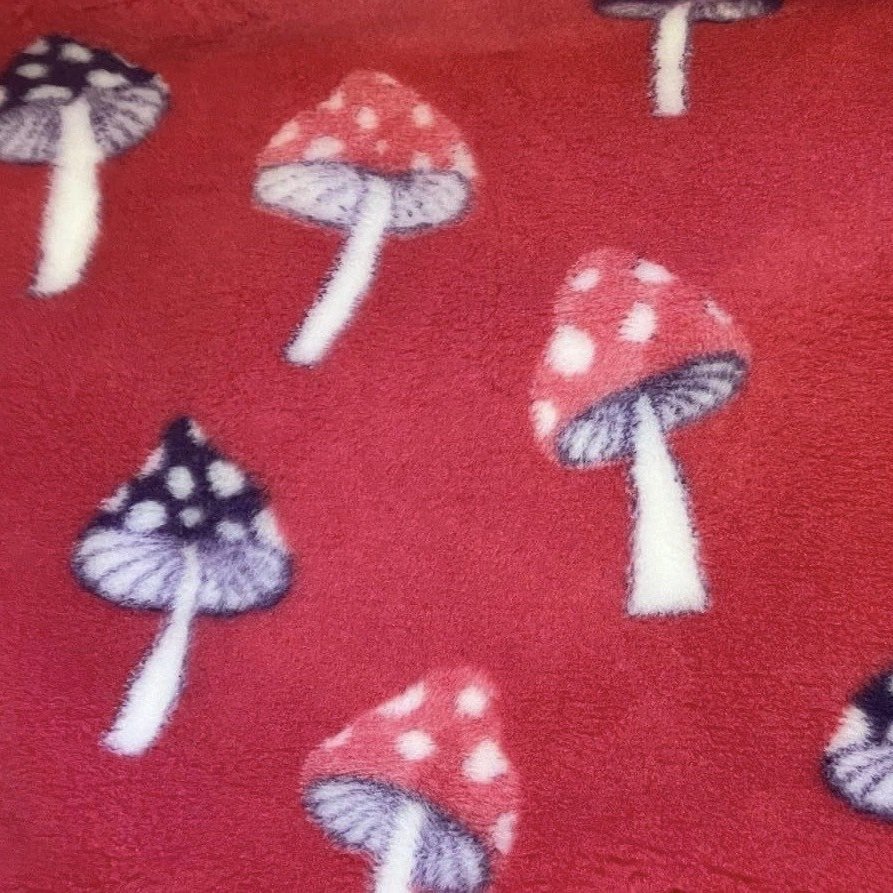 Pink+shroom.jpg