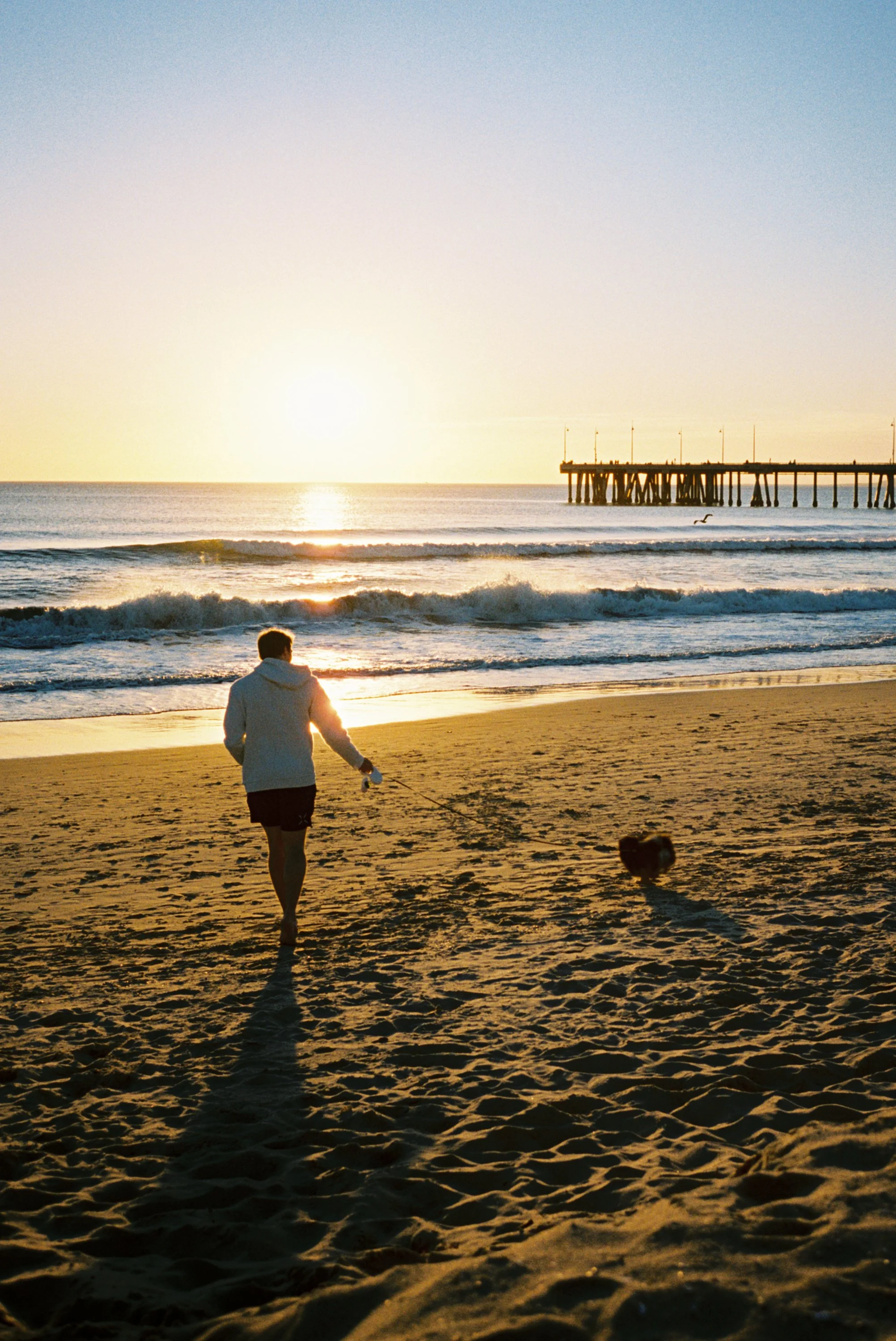 Rose Loren Photography_86.jpg