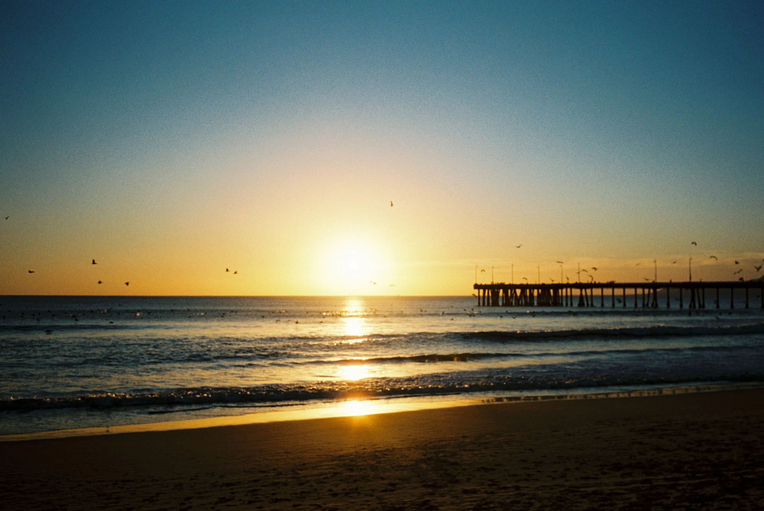 Rose Loren Photography_87.jpg