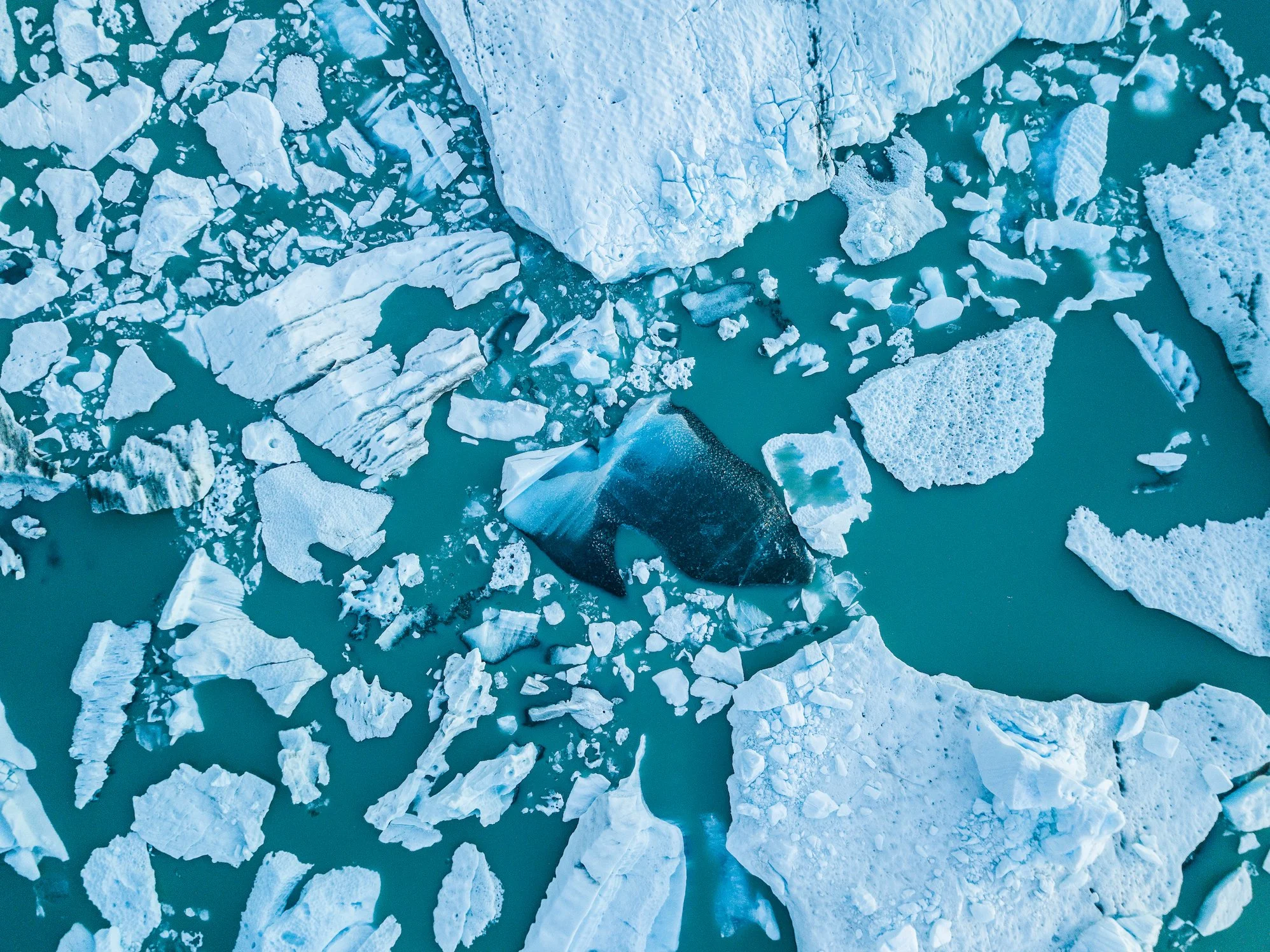 Hearts of the glacier | midview copy.JPG