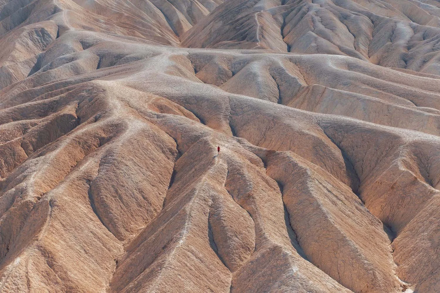 Death Valley | Sam at Antelope Point_ copy.JPG