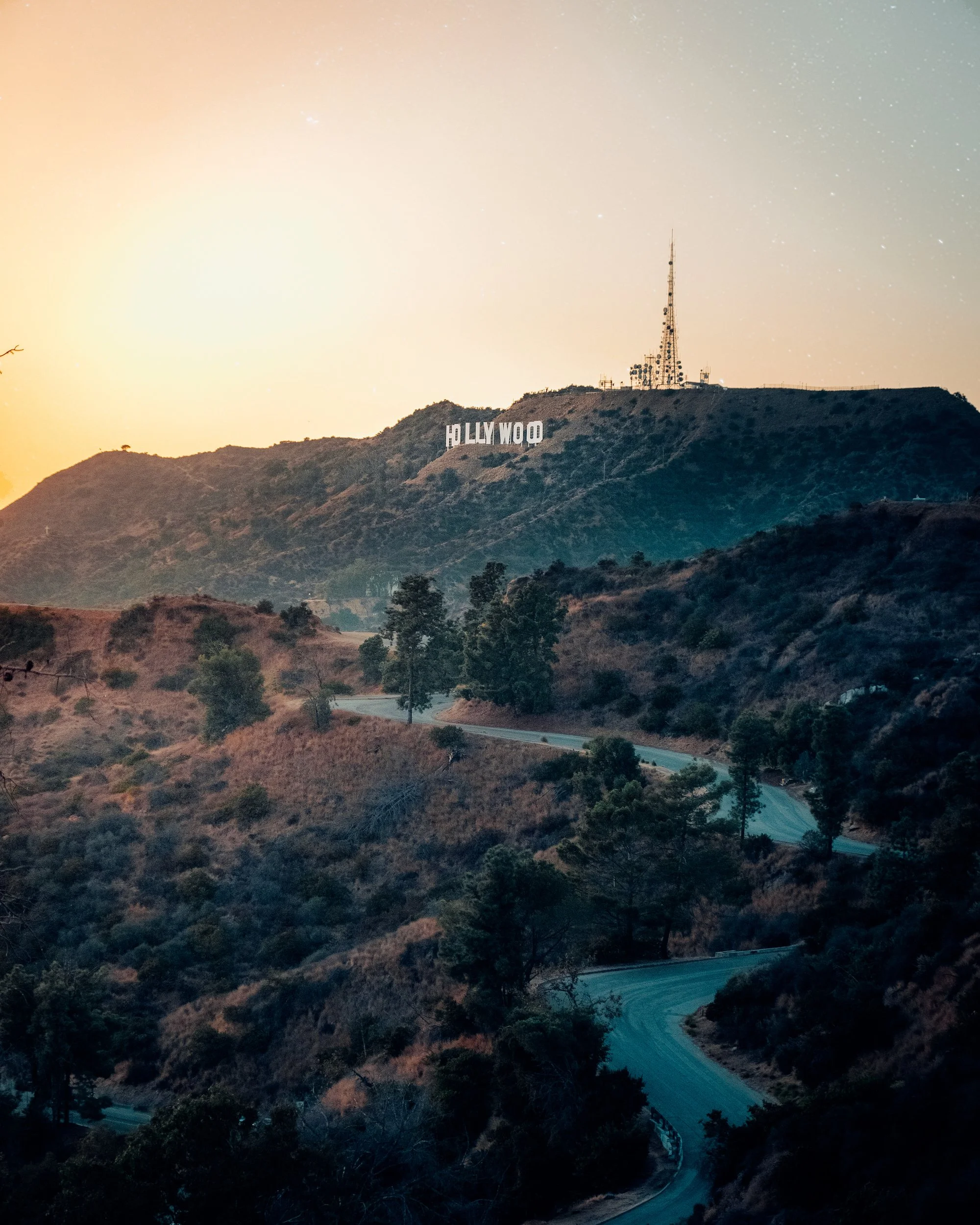 Hollywood-3 copy.JPG