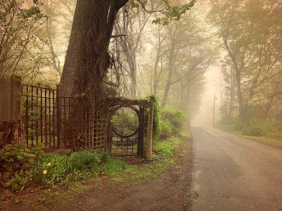 Thunderhorse-Hollow-Farm-road-entrance.jpg