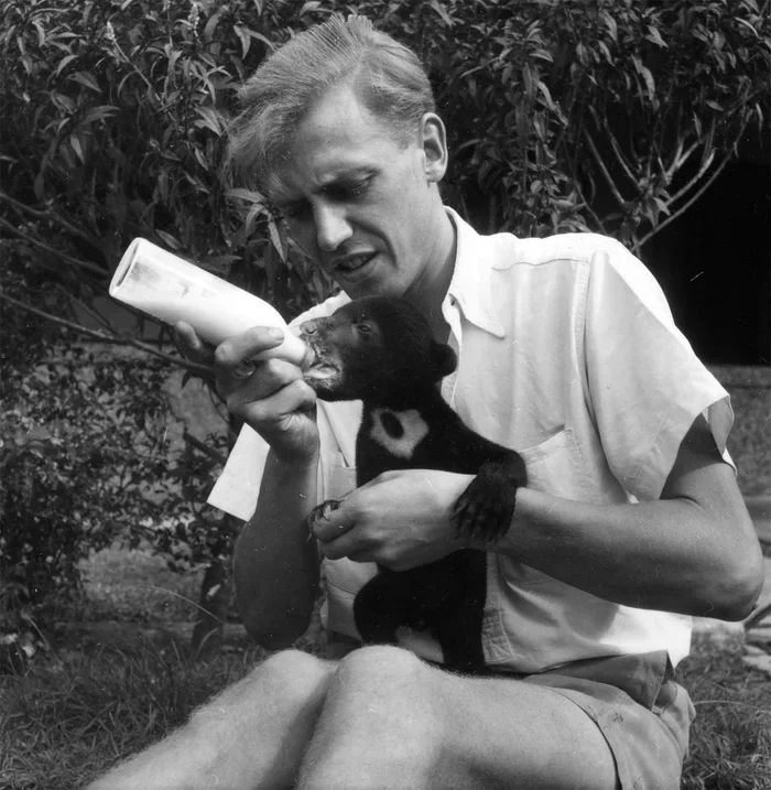 David Attenborough: The Media Revolutionary Who Changed How We See Our World