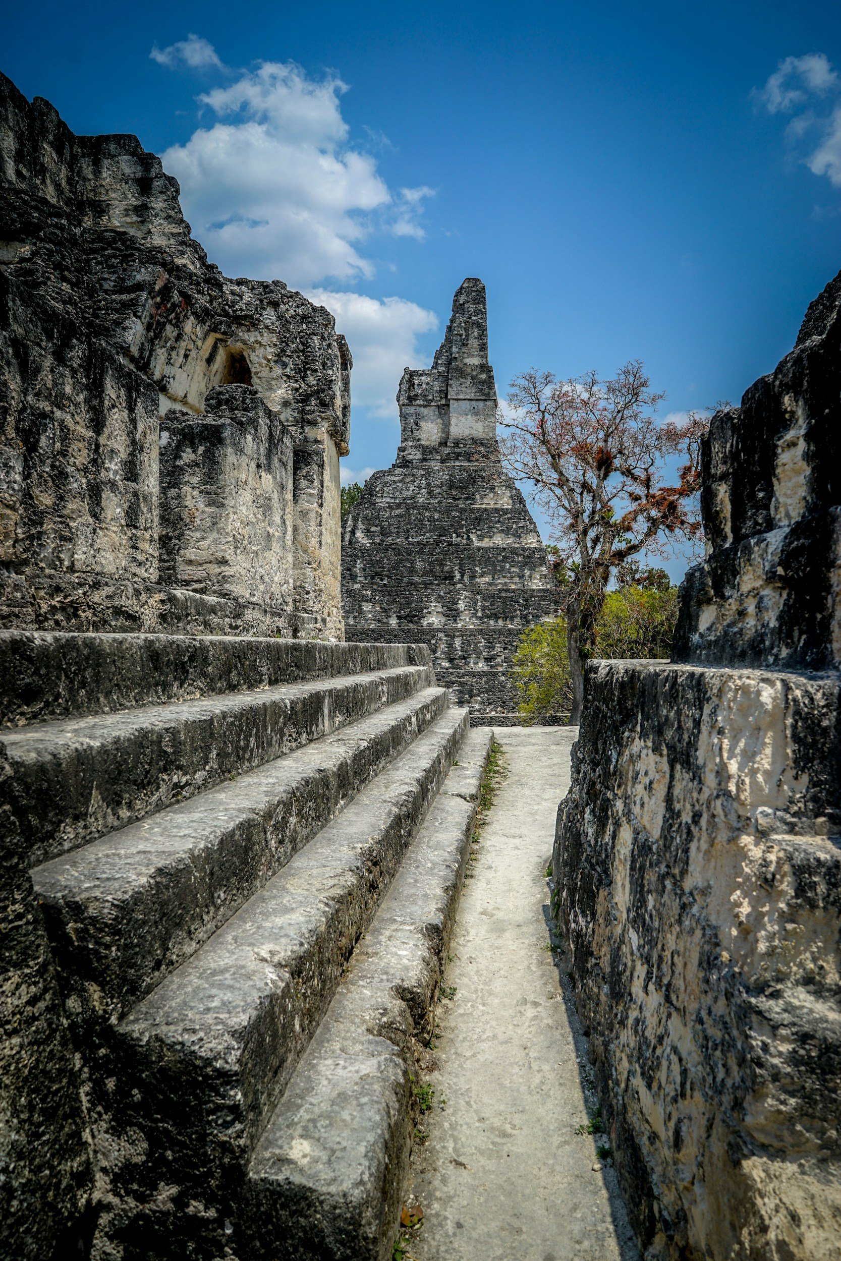 Ancient Mayan ruins with stone steps and a tall pyramid in the background, surrounded by stone walls and trees, under a partly cloudy sky.