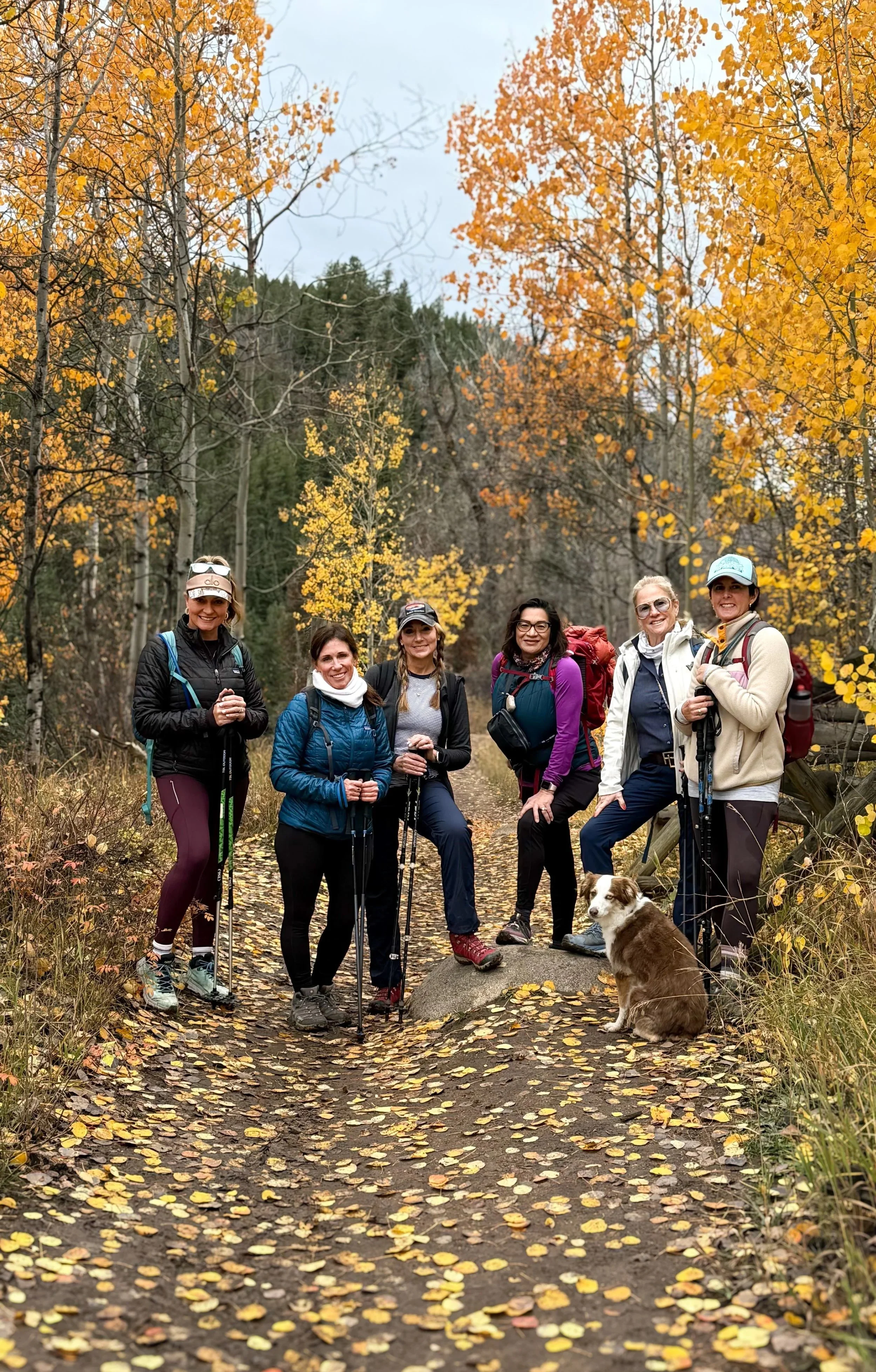 Six women and a dog standing on a trail in a forest with vibrant yellow and orange fall foliage.