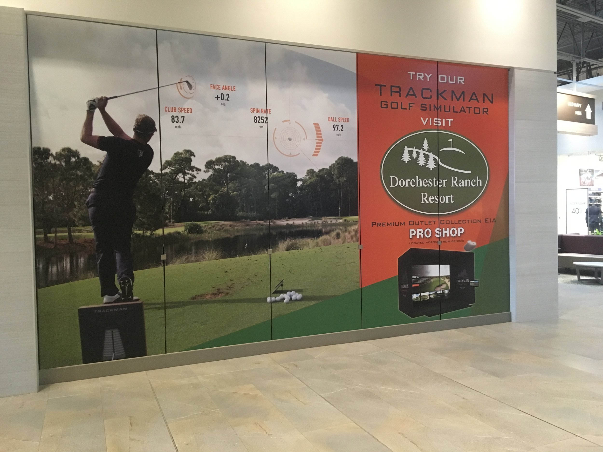 Window Graphics 3.JPG