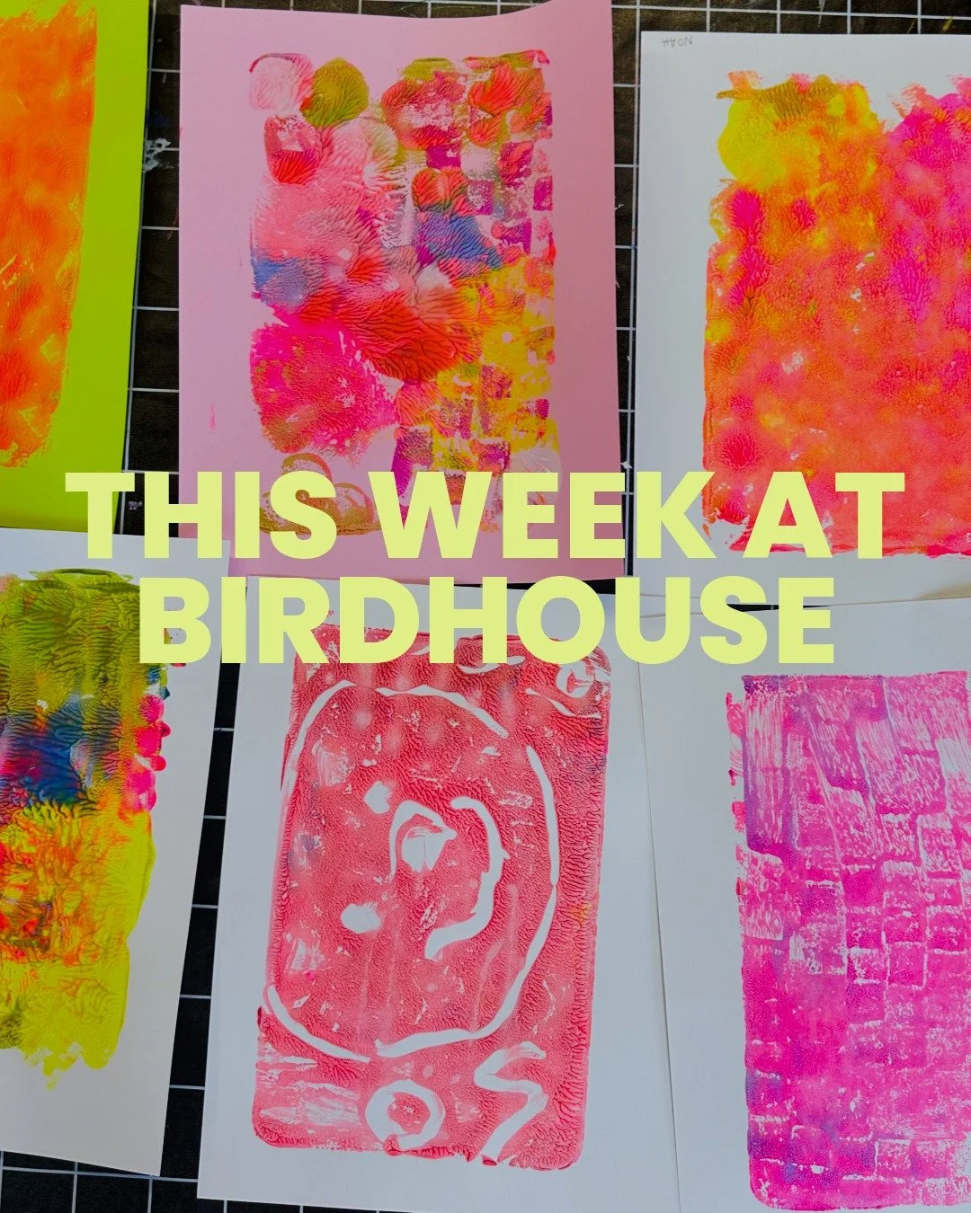 Another week of creativity at Birdhouse 🫶
Classes, camps, open studio, birthday prep chaos, painty hands&hellip; the usual magic ✨

Just a heads up &mdash; there&rsquo;s no drop-in Chickadee class tomorrow, but the rest of the week is full of fun. S