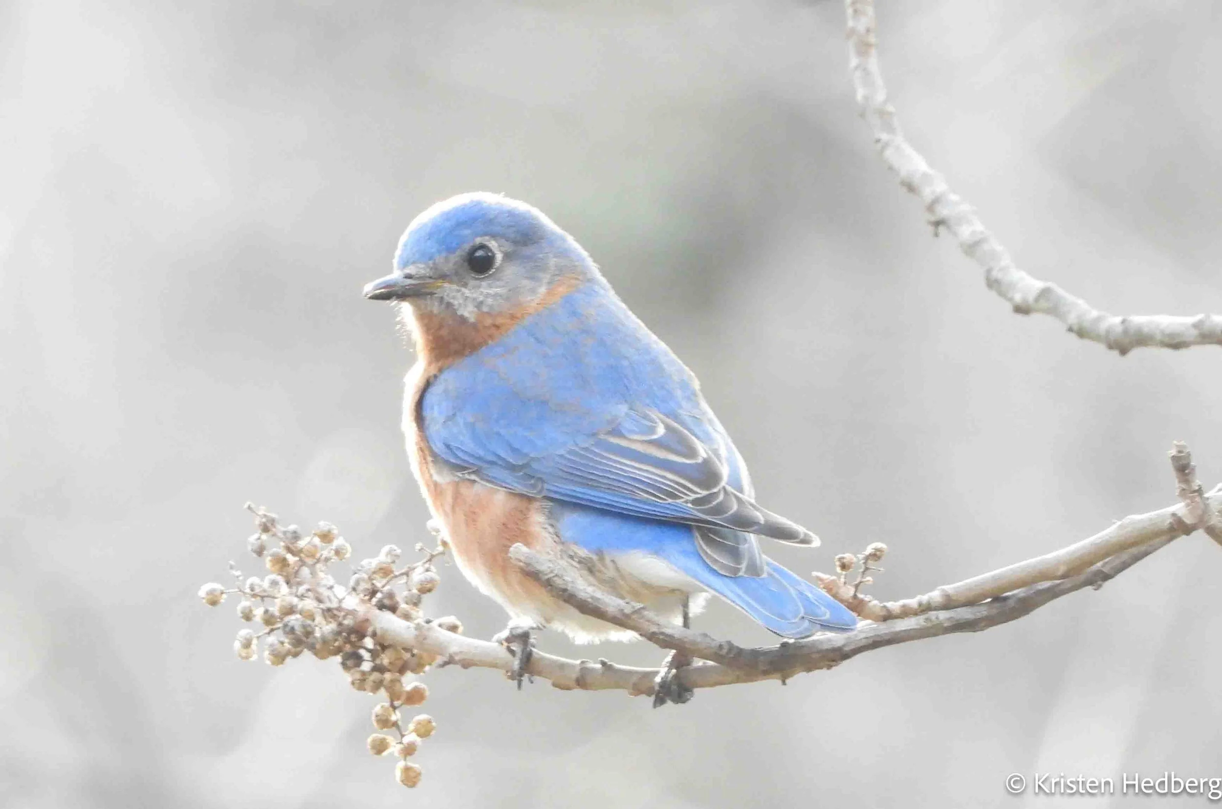 20210313_0191 copy.jpg