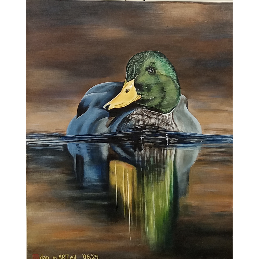Mallard 4 - Dan Martell