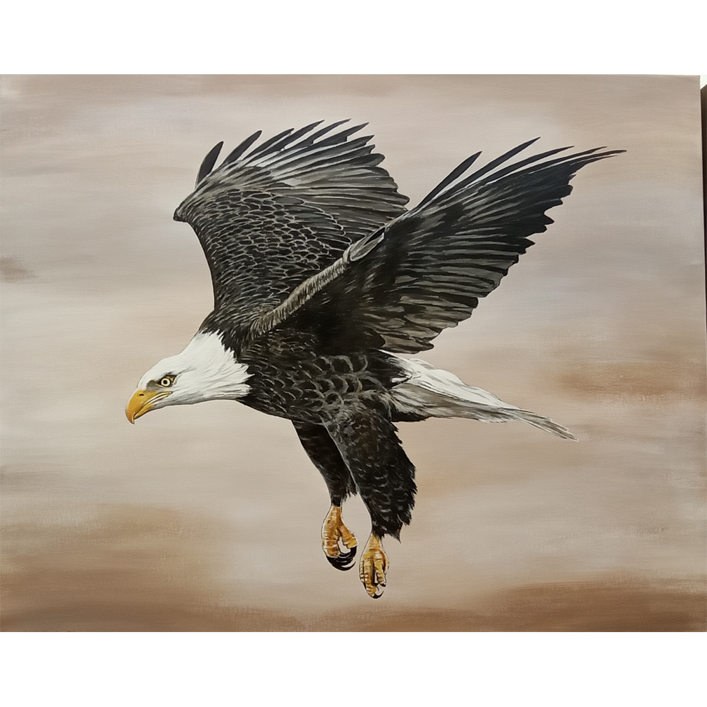 Bald Eagle - Dan Martell