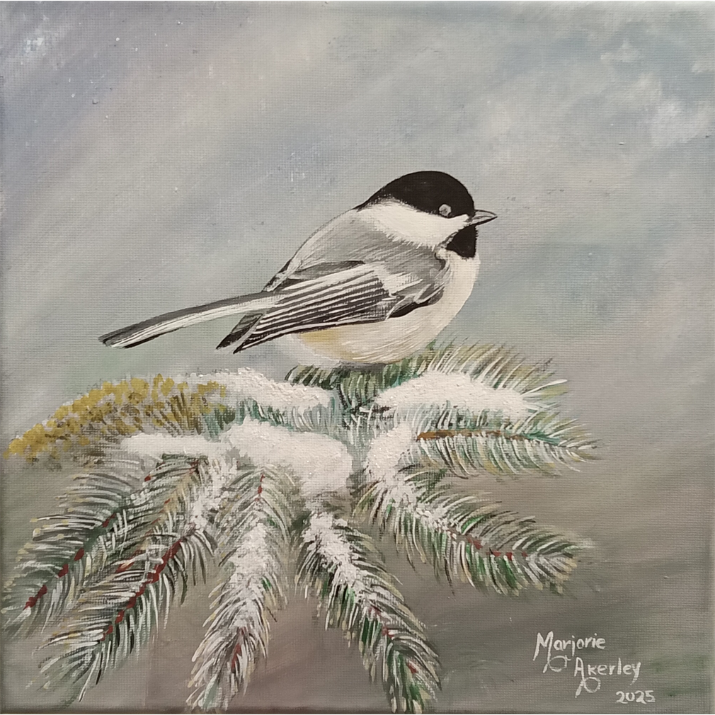 Chickadee - Marjorie Ackerly