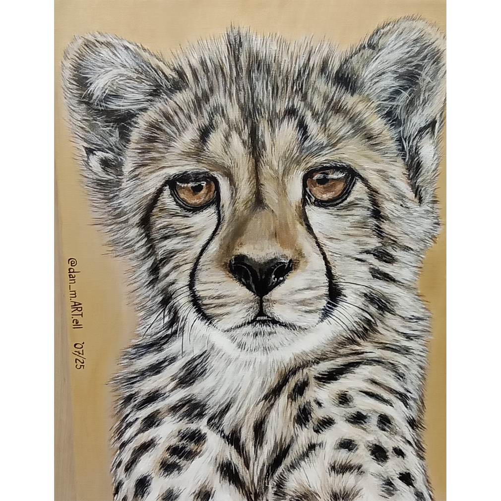 Cheetah - Dan Martell