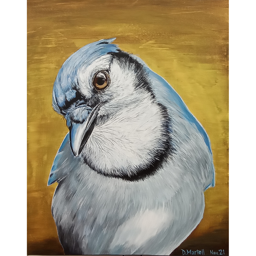 Blue Jay - Dan Martell