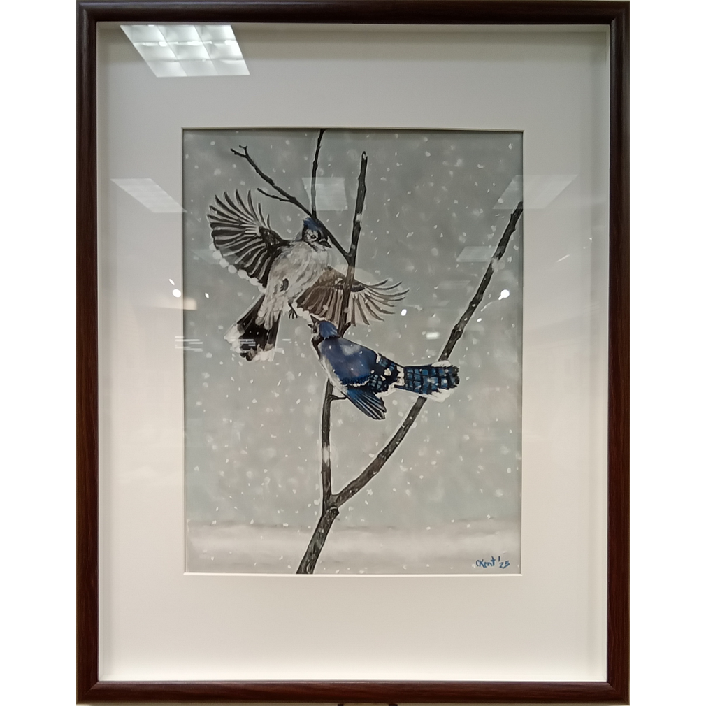 Squabbling Jays - Carol Kent