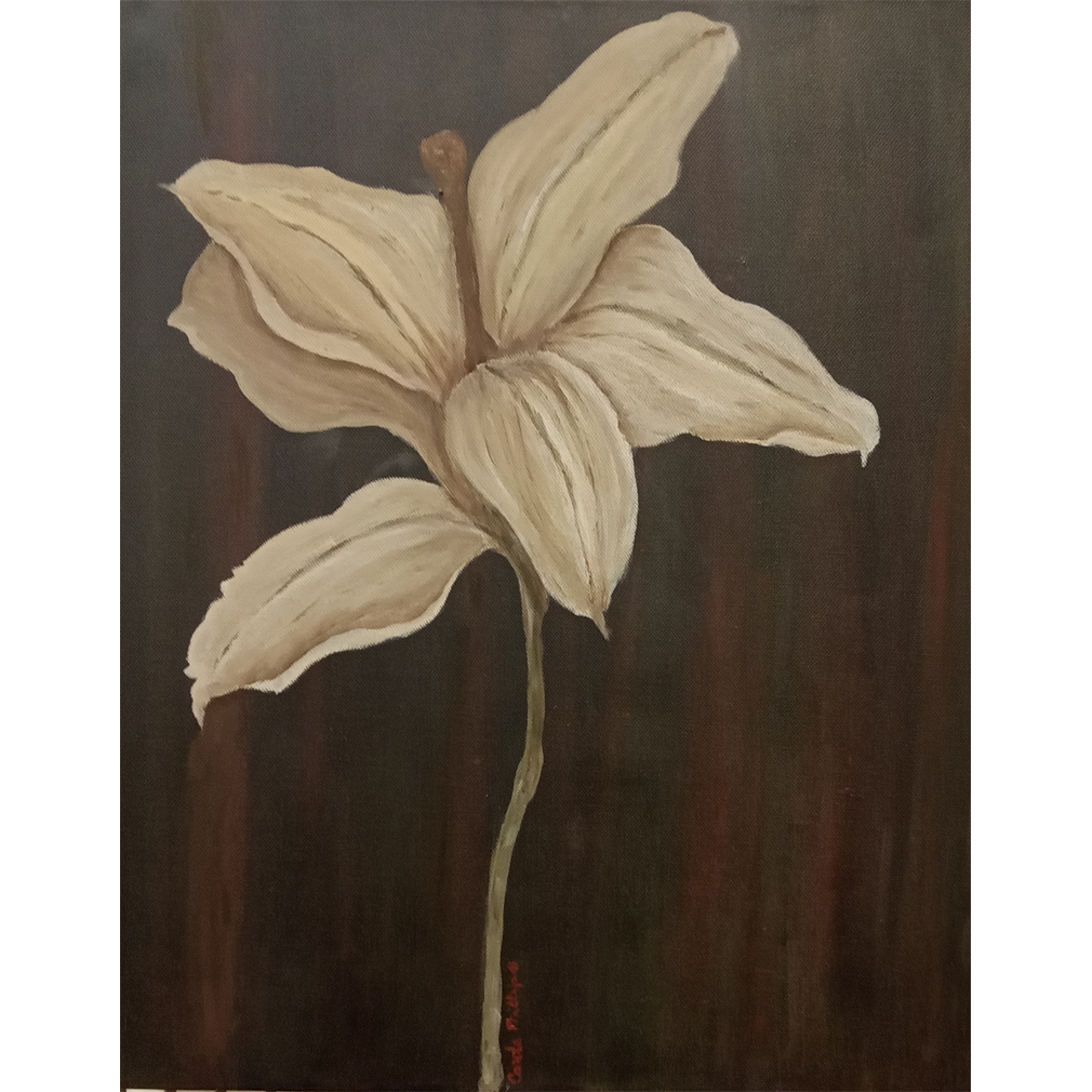 Out Of The Dark - Carole Phillips
