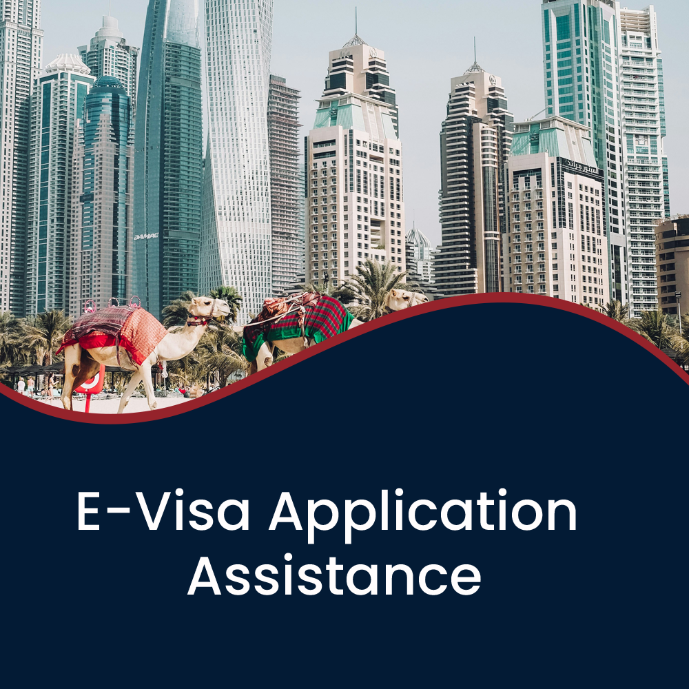 E-Visa Application Assistance.png