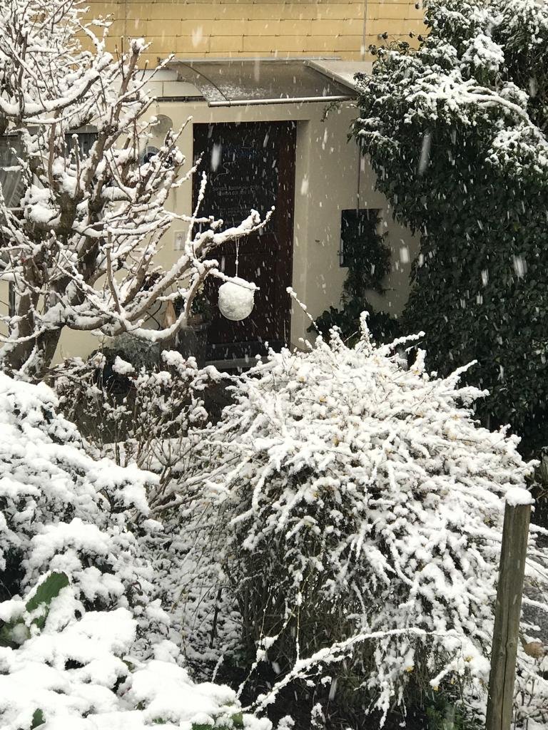 Türe-Laden-Schnee.jpg