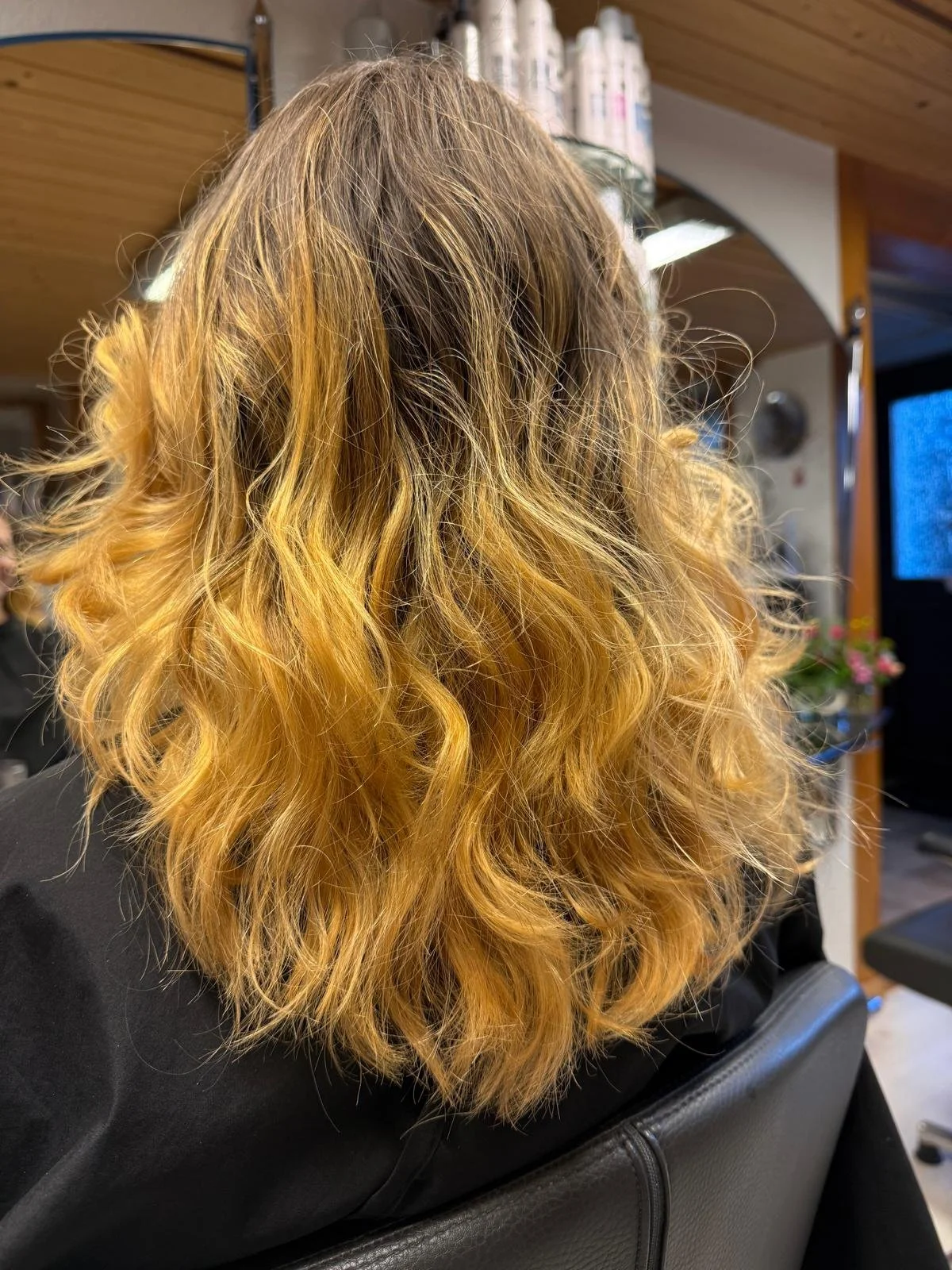 WhatsApp Image 2026-02-06 at 17.30.17.jpeg