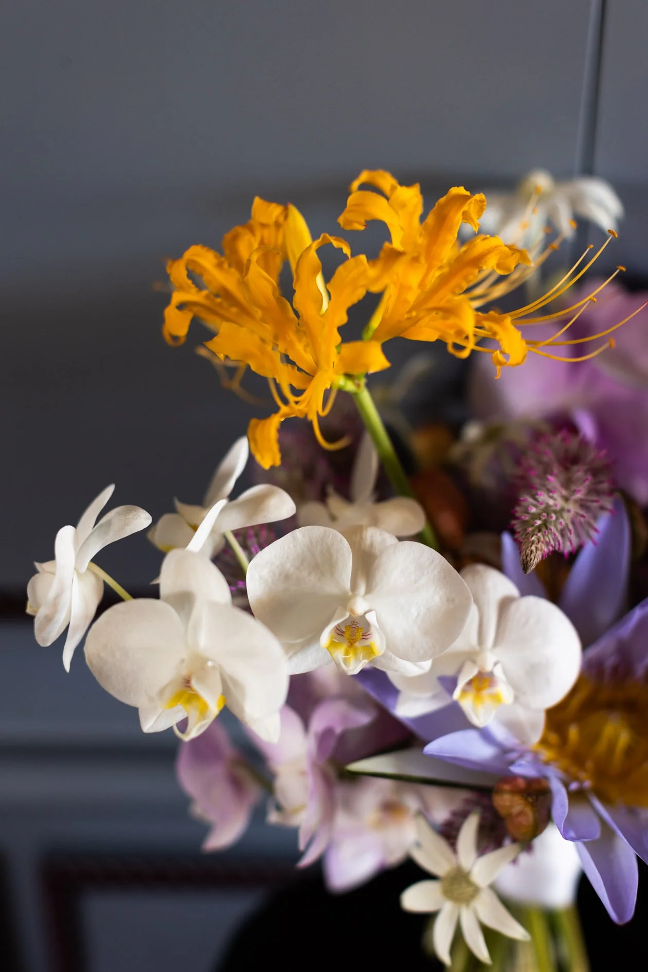 East Gippsland Wedding Photography-6.jpg