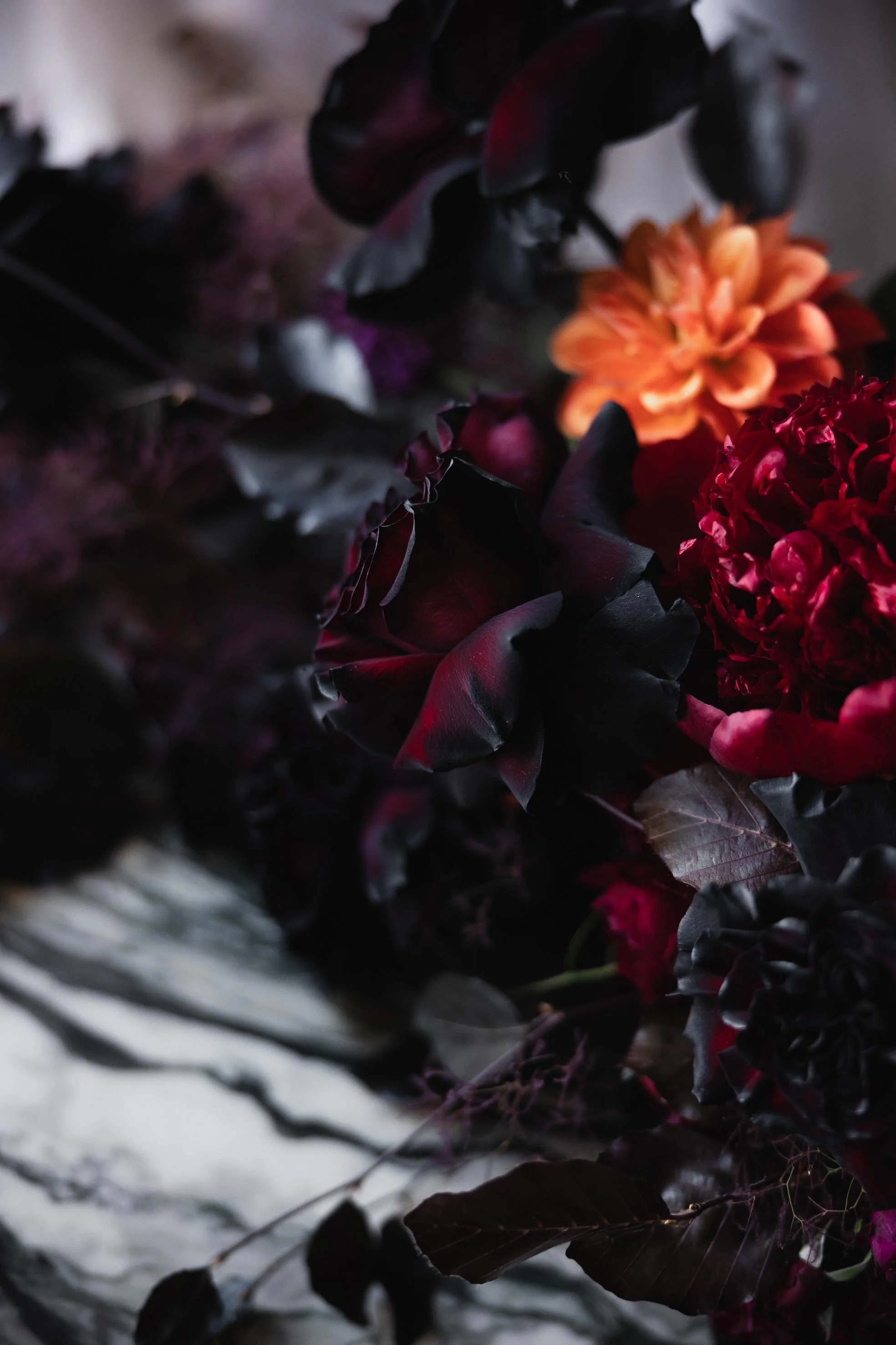 ADAMINA & LEX-59.jpg