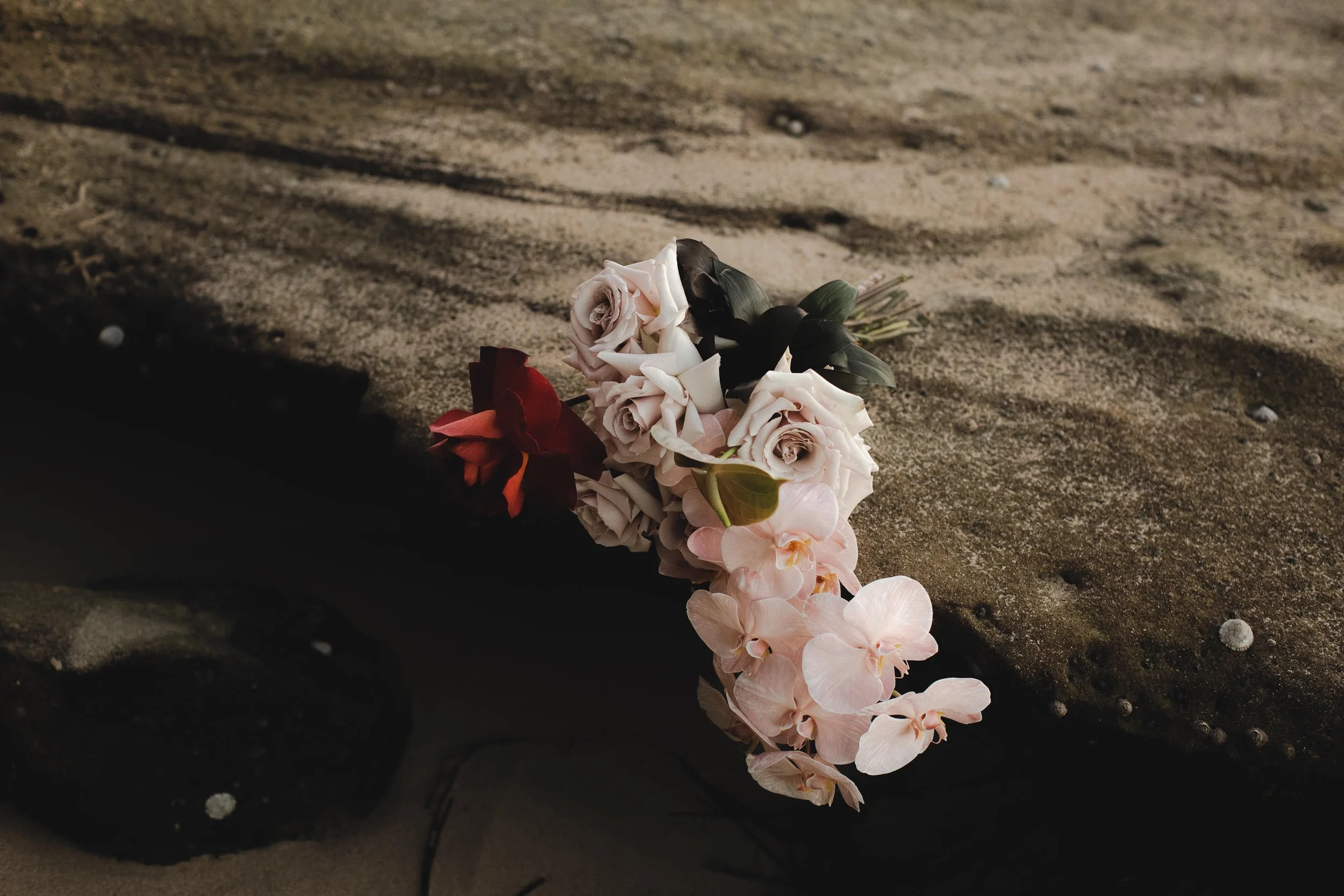 Bundeena weddings.jpg