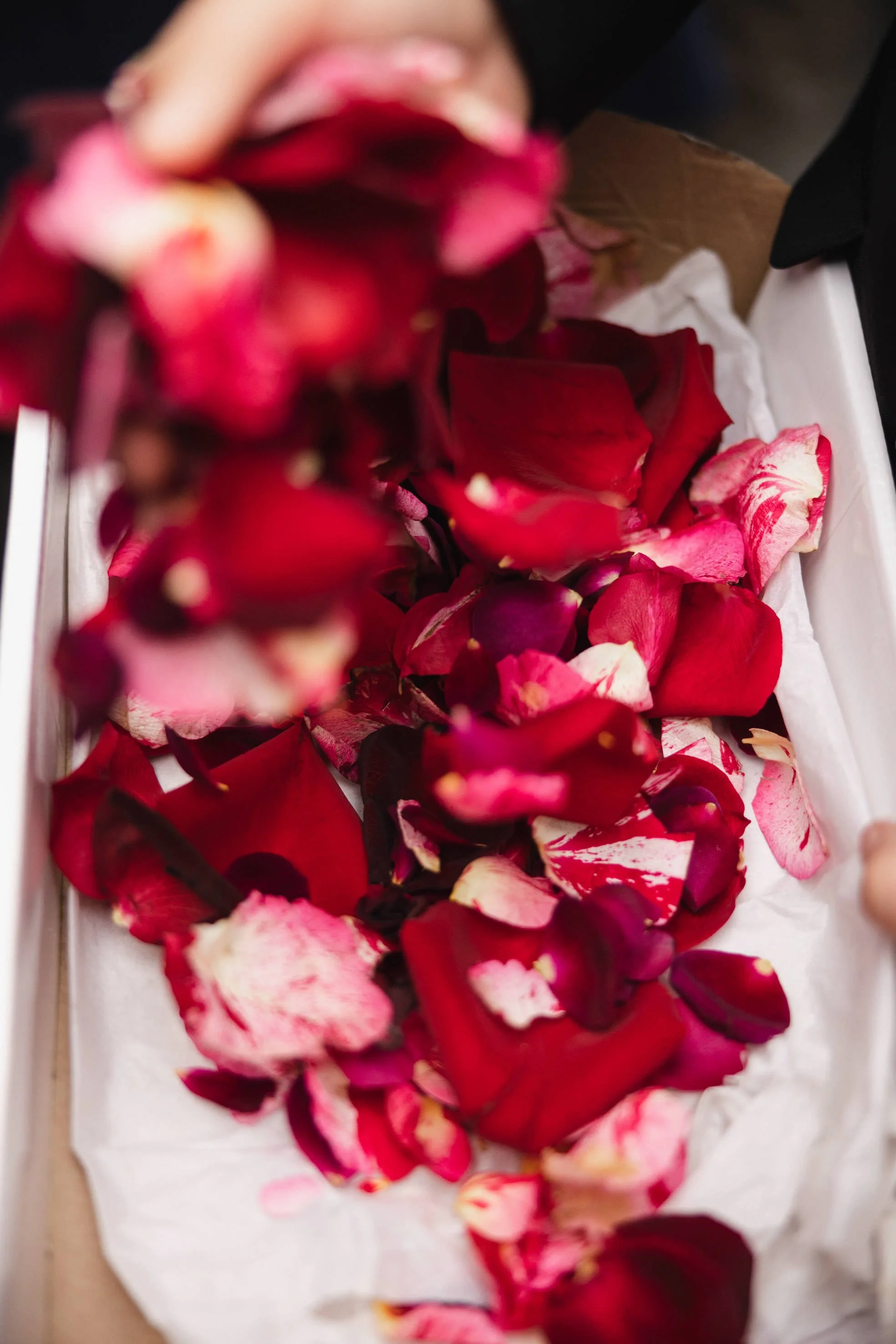 ADAMINA & LEX-624.jpg