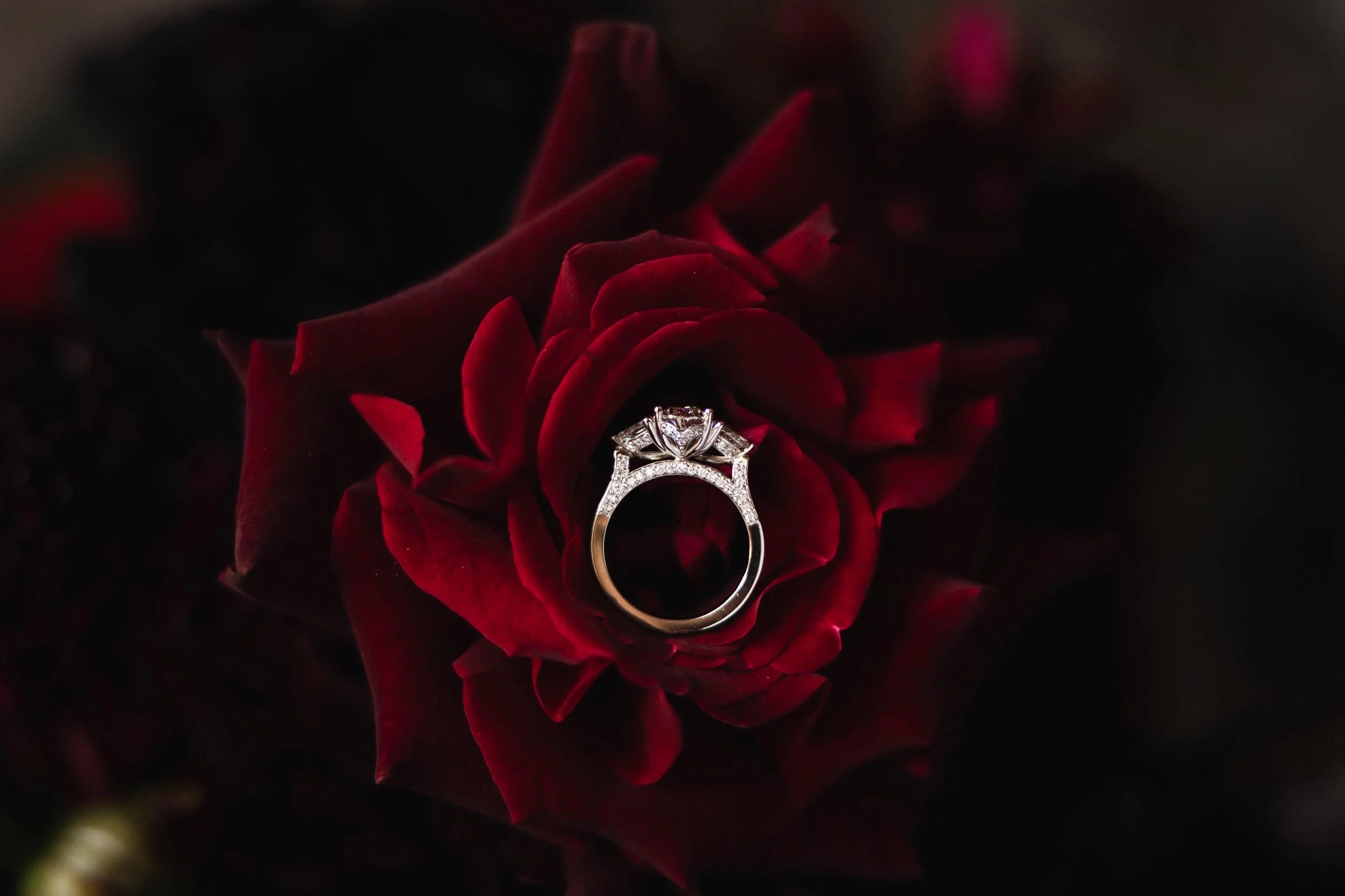 ADAMINA & LEX-43.jpg