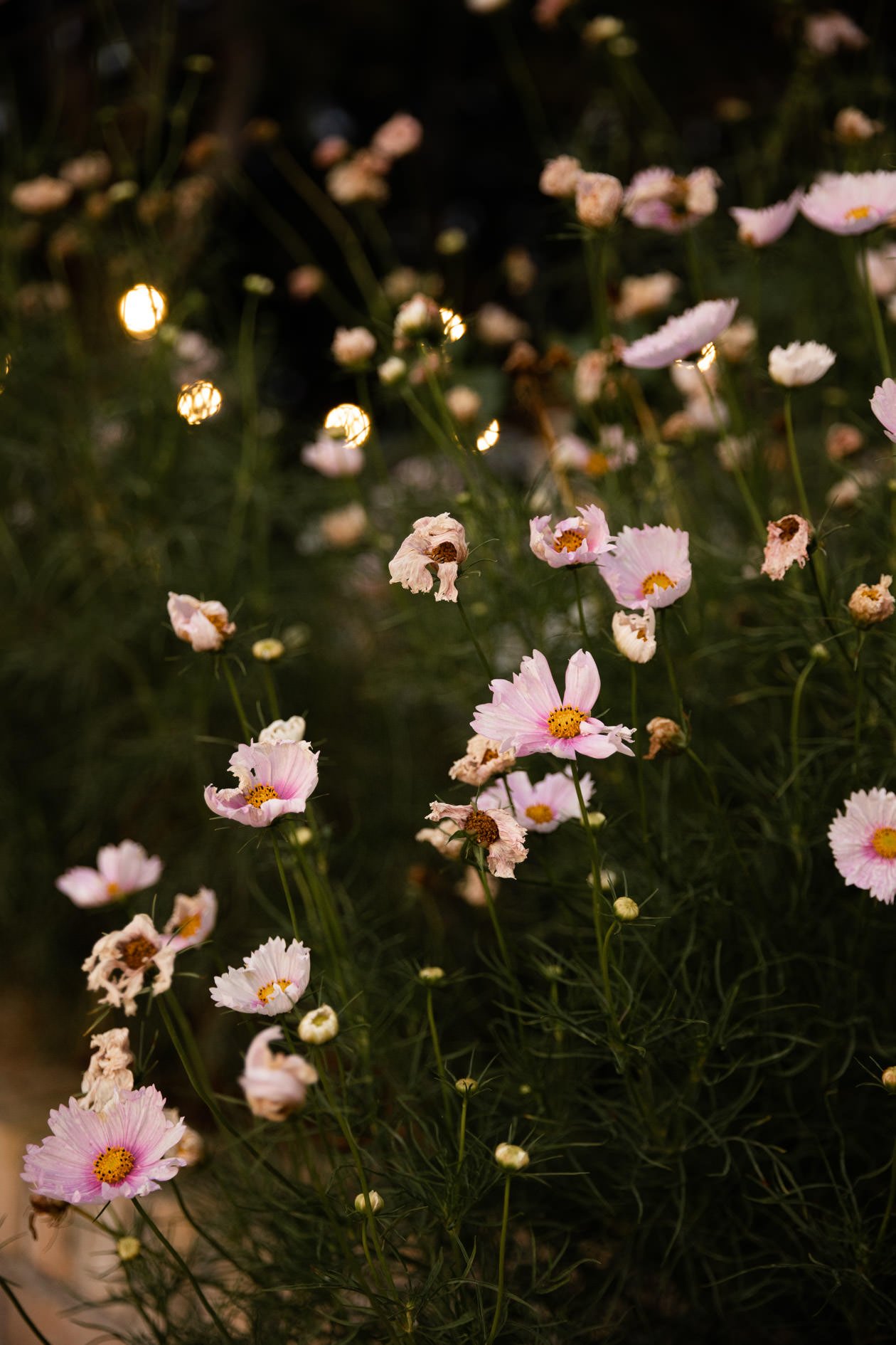 East Gippsland Wedding Photography-179.jpg