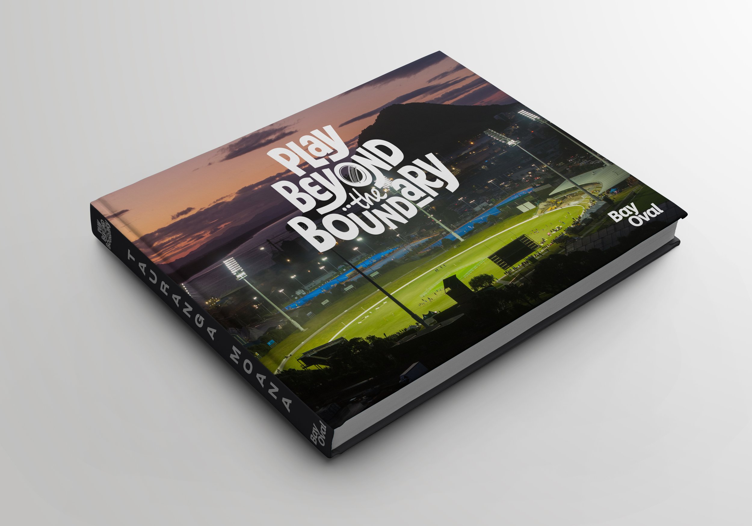 ©Steven_Ranson_Play_Beyond_Book_Crop.jpg