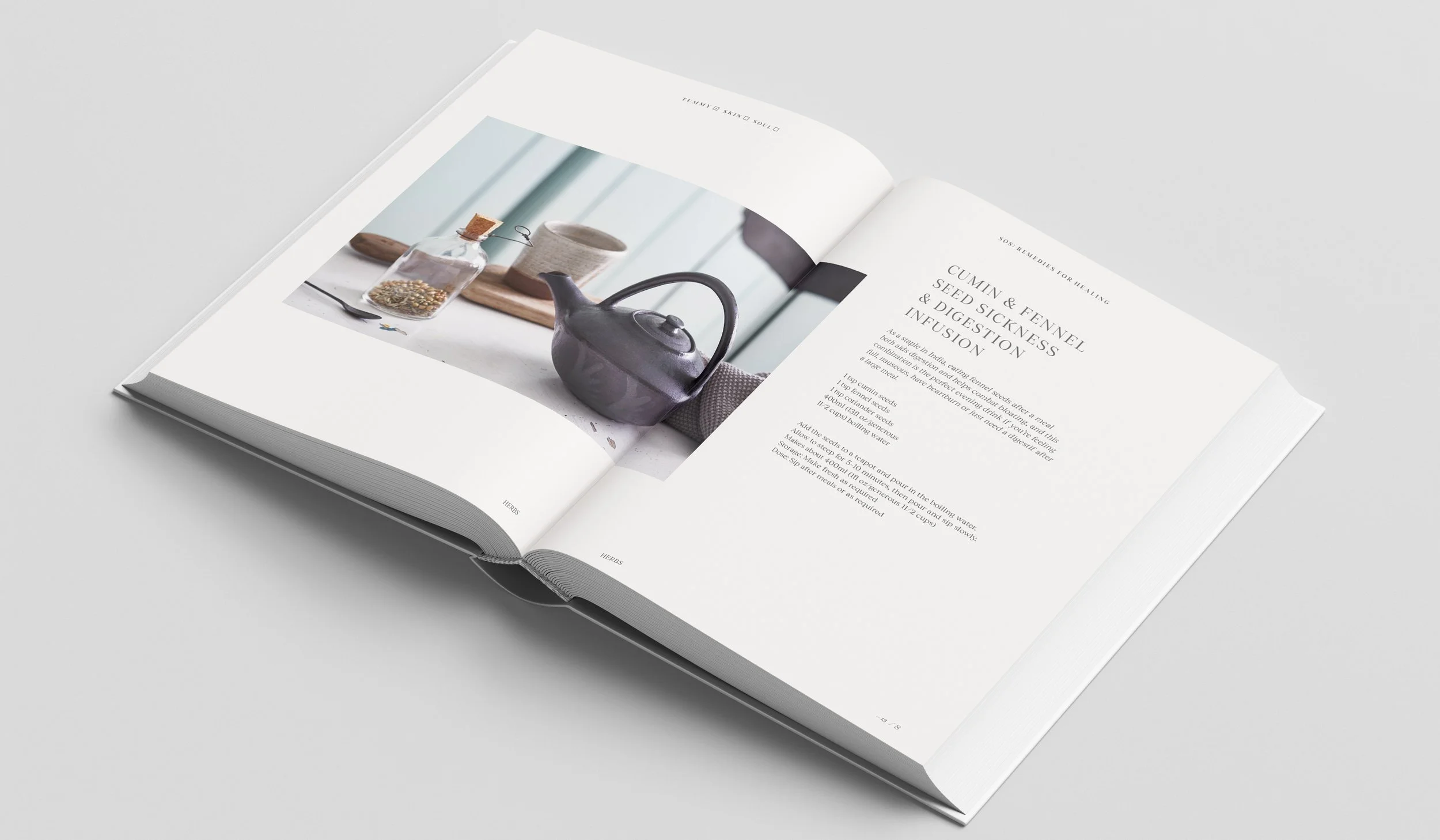 ©Steven Ranson Restore Book Spread Digestion 2026.jpg