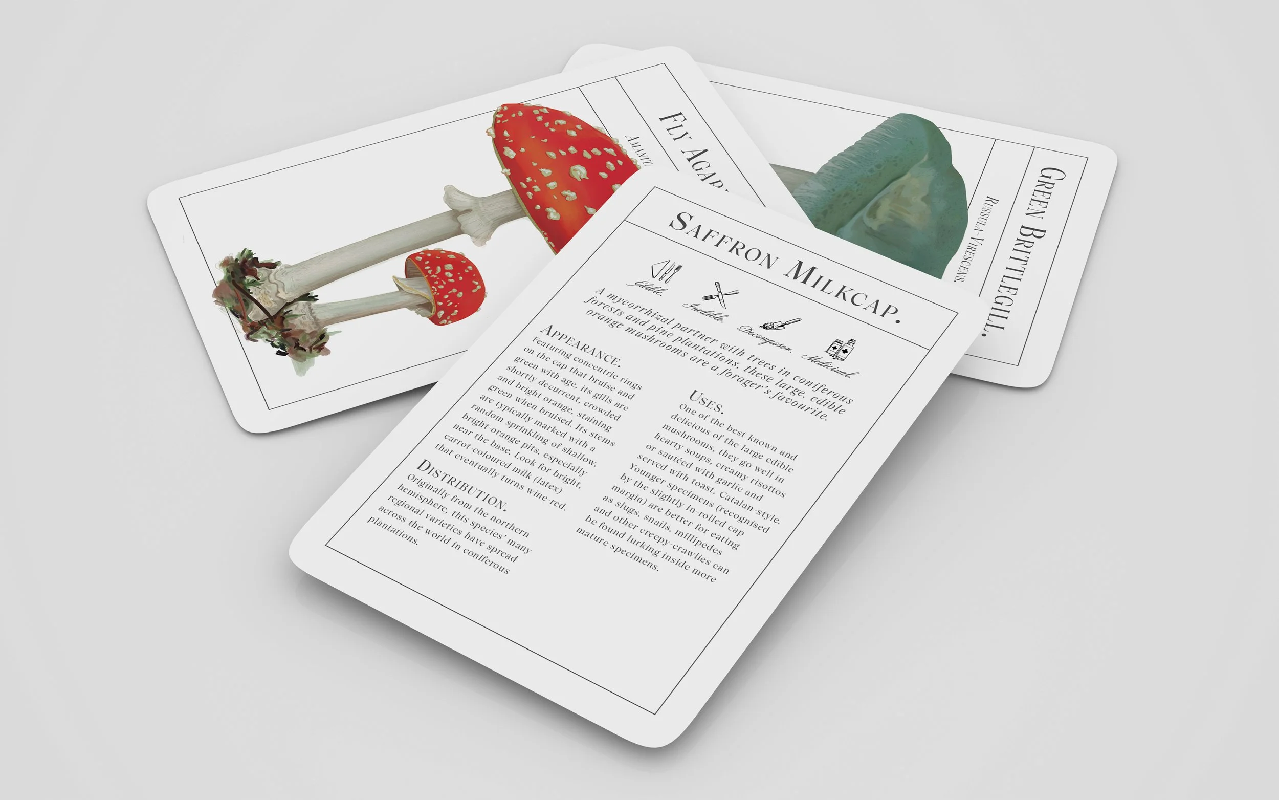 ©Steven Ranson Mushrooms Cards Back 2026.jpg
